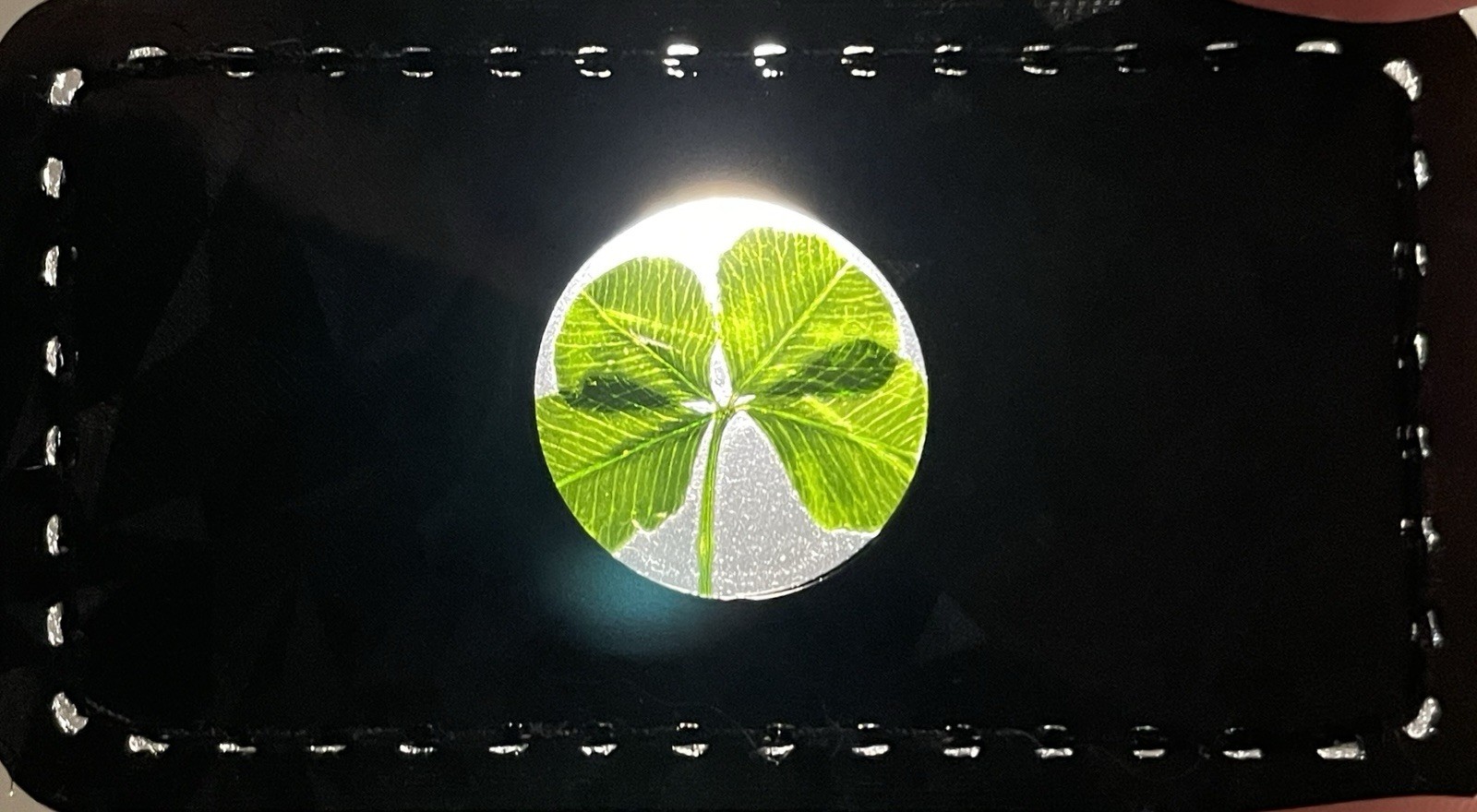 🍀RARE Real Lucky 4 Leaf Clover🍀 With Protective Flexible Wallet Case