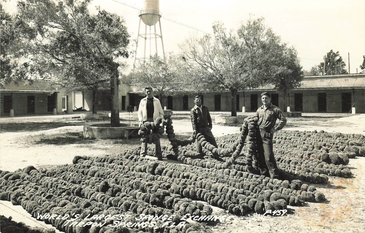RPPC Tarpon Springs FL Sponge Exchange Men Vintage Florida Postcard P-459 RPPC Tarpon Springs FL Sponge Exchange Men Vintage Florida Postcard P-459