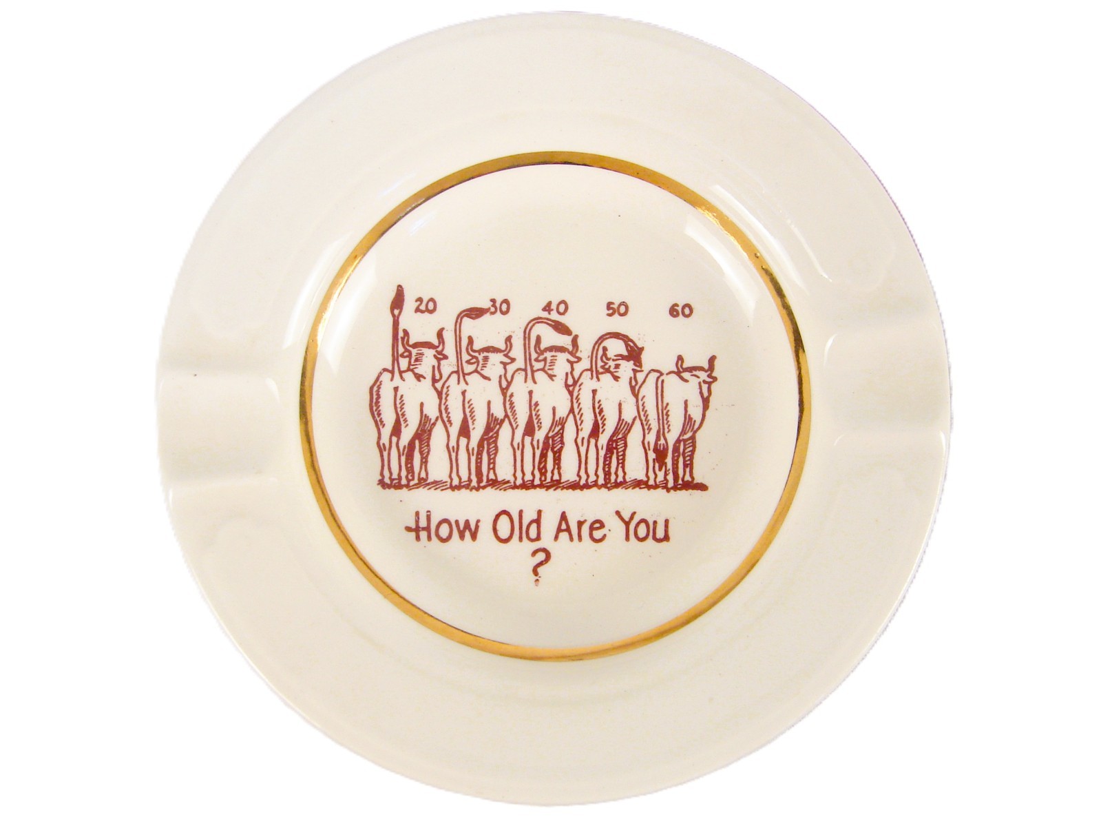 Vintage How Old Are You Cow Novelty Ashtray Vintage How Old Are You Cow Novelty Ashtray