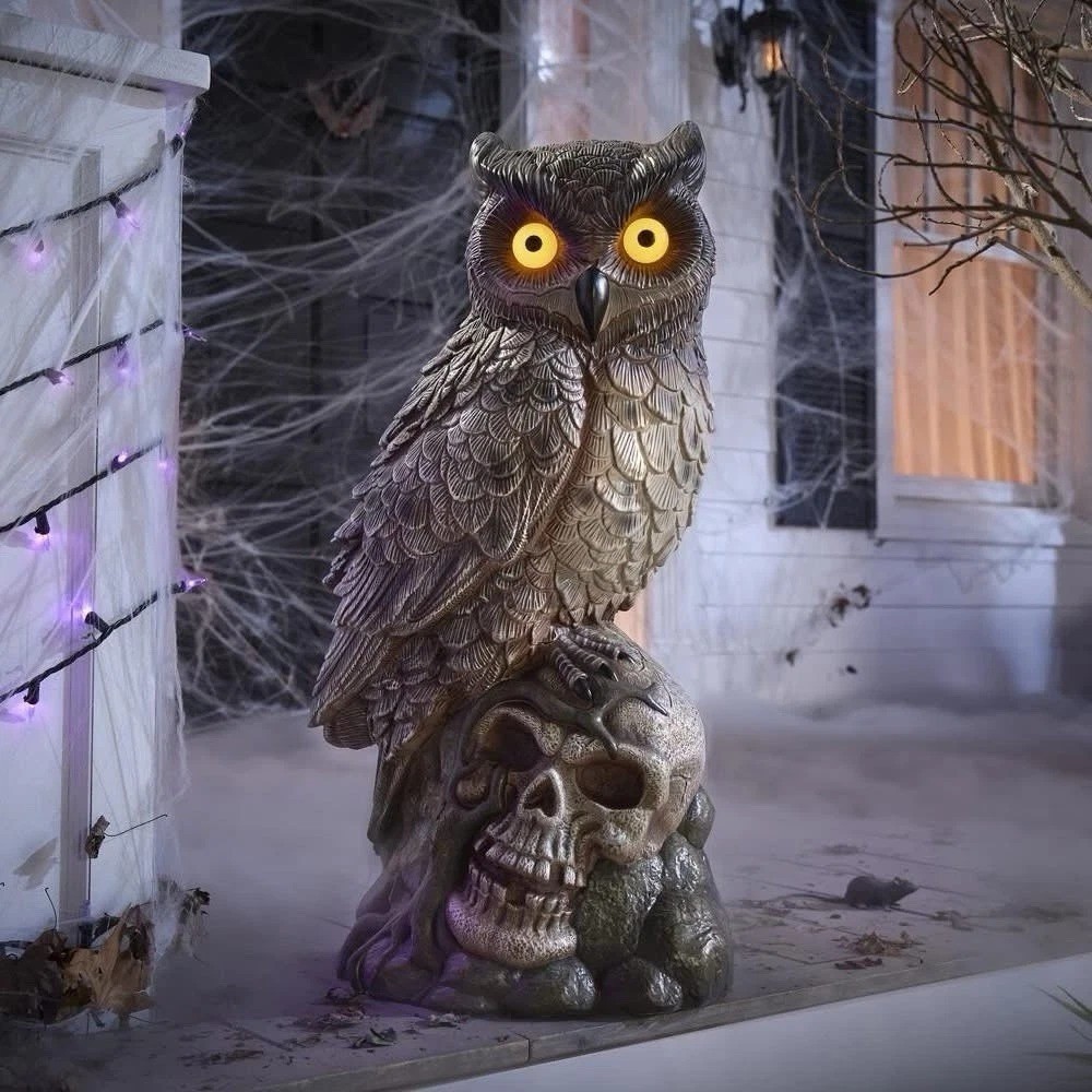 Home Accents HD 2.5 ft Owl and Skull Decoration LED Light Up Eyes Halloween Home Accents HD 2.5 ft Owl and Skull Decoration LED Light Up Eyes Halloween