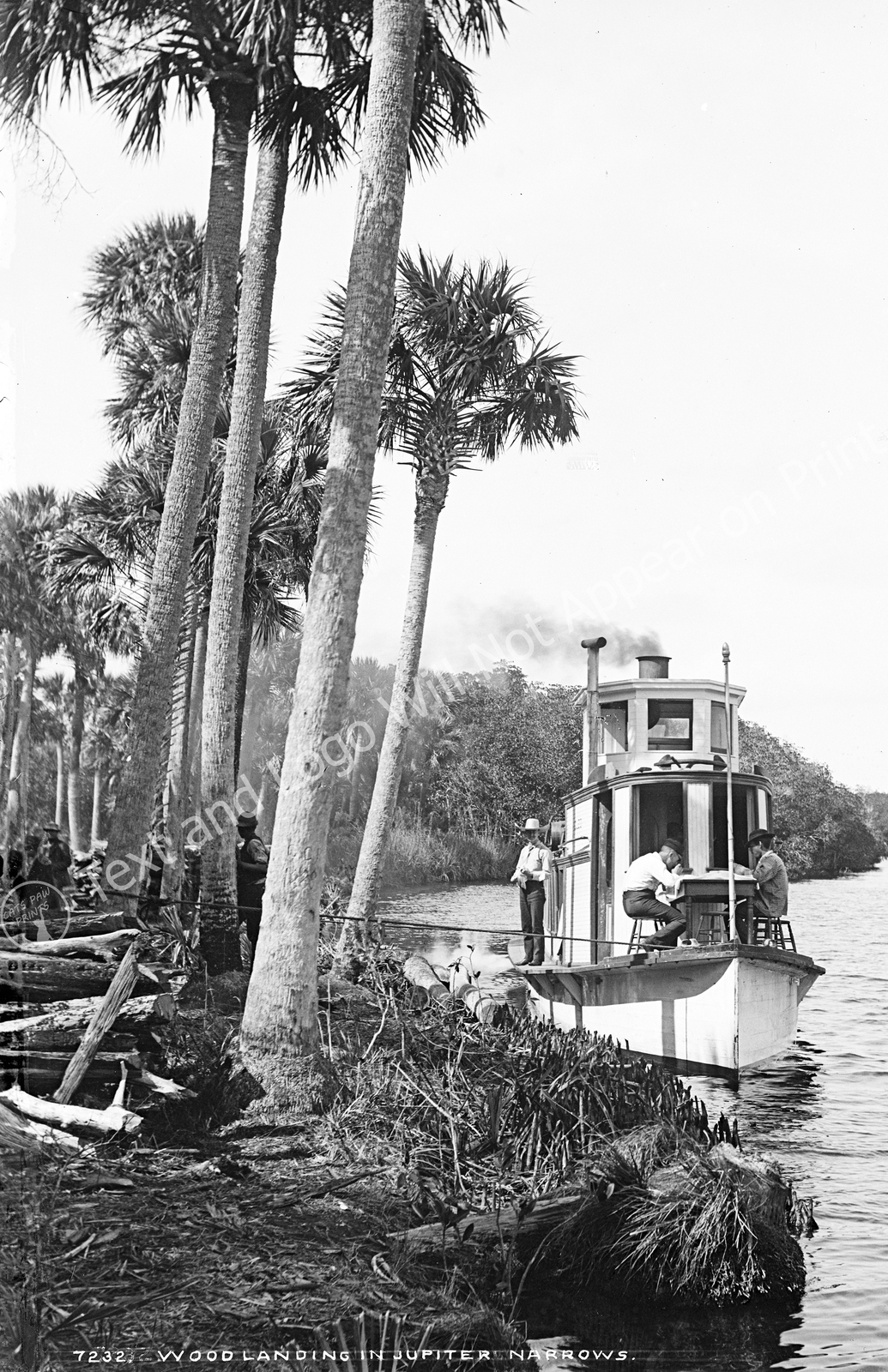 1880-1897 Wood Landing in Jupiter Narrows, Florida Old Photo 11 1880-1897 Wood Landing in Jupiter Narrows, Florida Old Photo 11