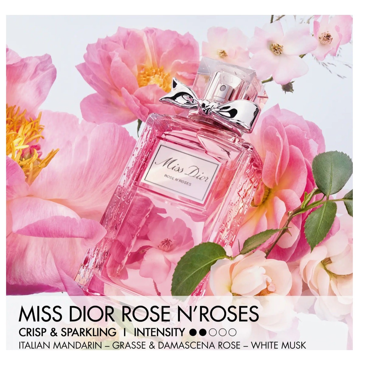 Dior Miss Dior Rose N\' Roses with Silver Bow 150ml - Never sprayed