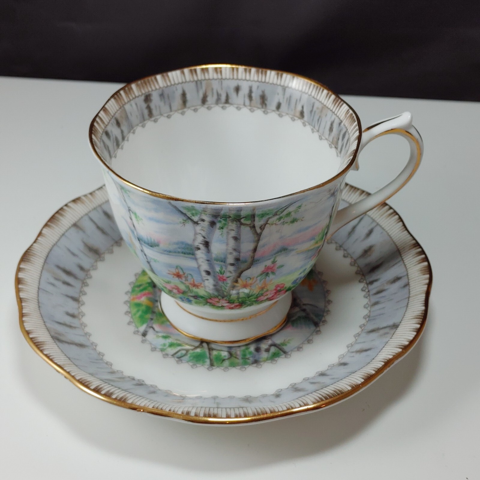 Vtg Royal Albert Silver Birch Footed Tea Cup & Saucer Set Bone China Gold Gilded Vtg Royal Albert Silver Birch Footed Tea Cup & Saucer Set Bone China Gold Gilded