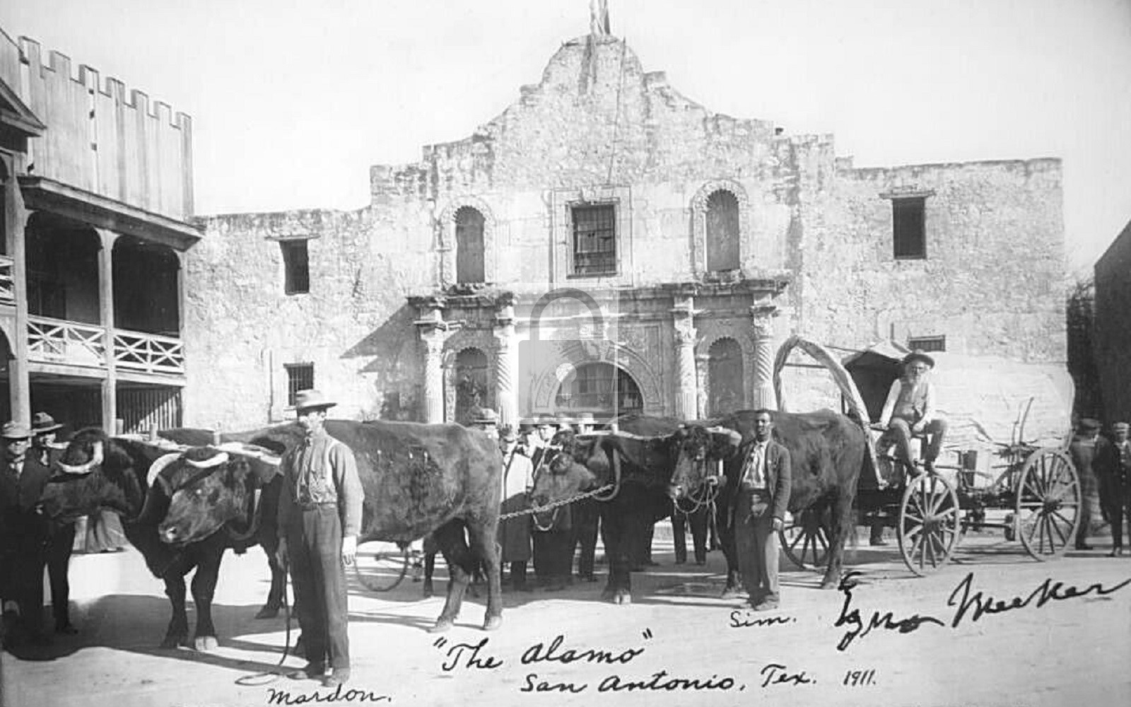 Ox Team Wagon The Alamo San Antonio Texas TX - Reprint Ox Team Wagon The Alamo San Antonio Texas TX - Reprint