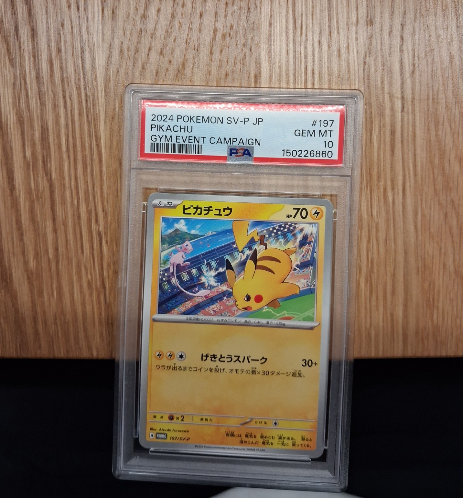Pikachu Gym Event Campaign PSA 10 2024 Pokemon SV-P JP 197