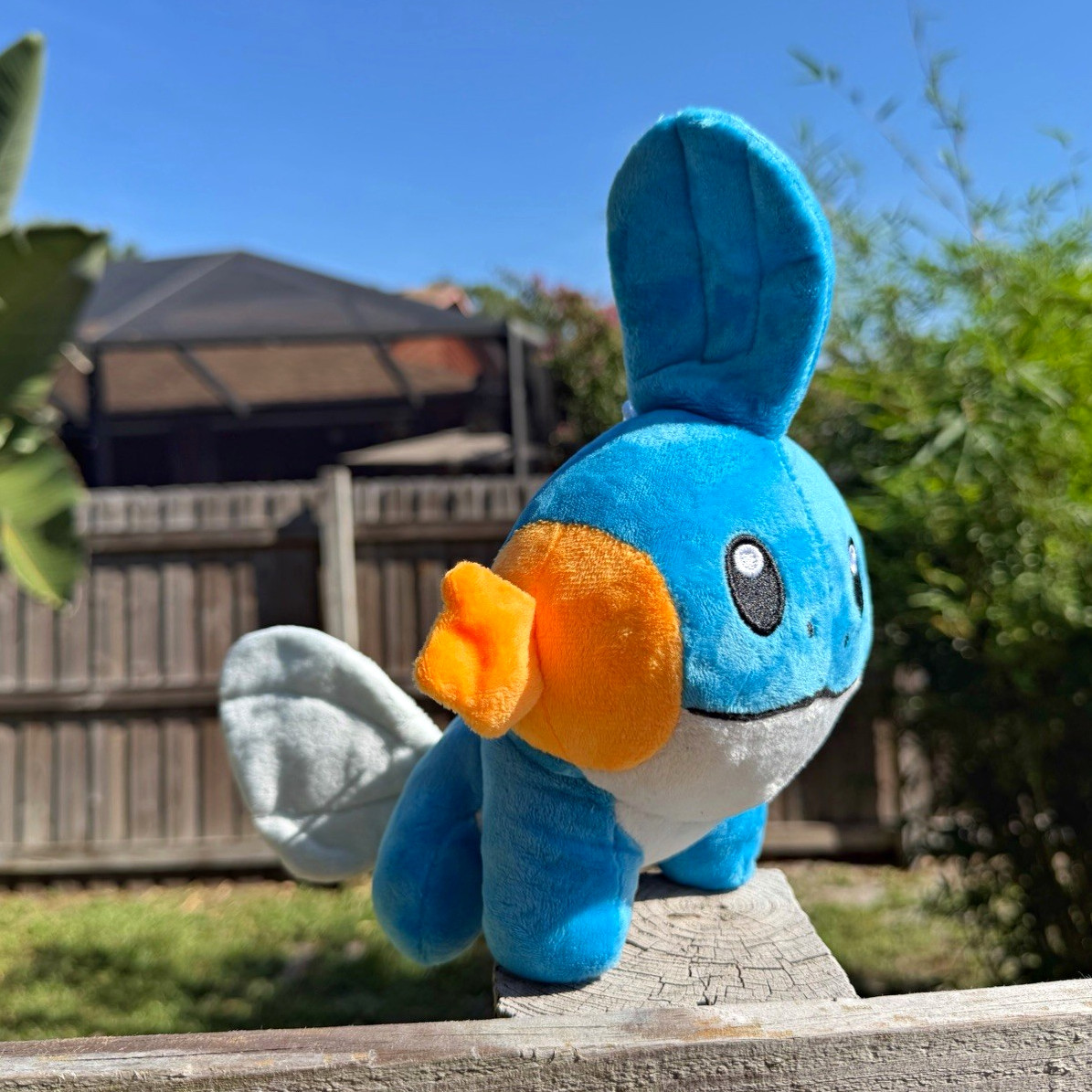 Mudkip Plush Pokemon Mudkip Plush Pokemon
