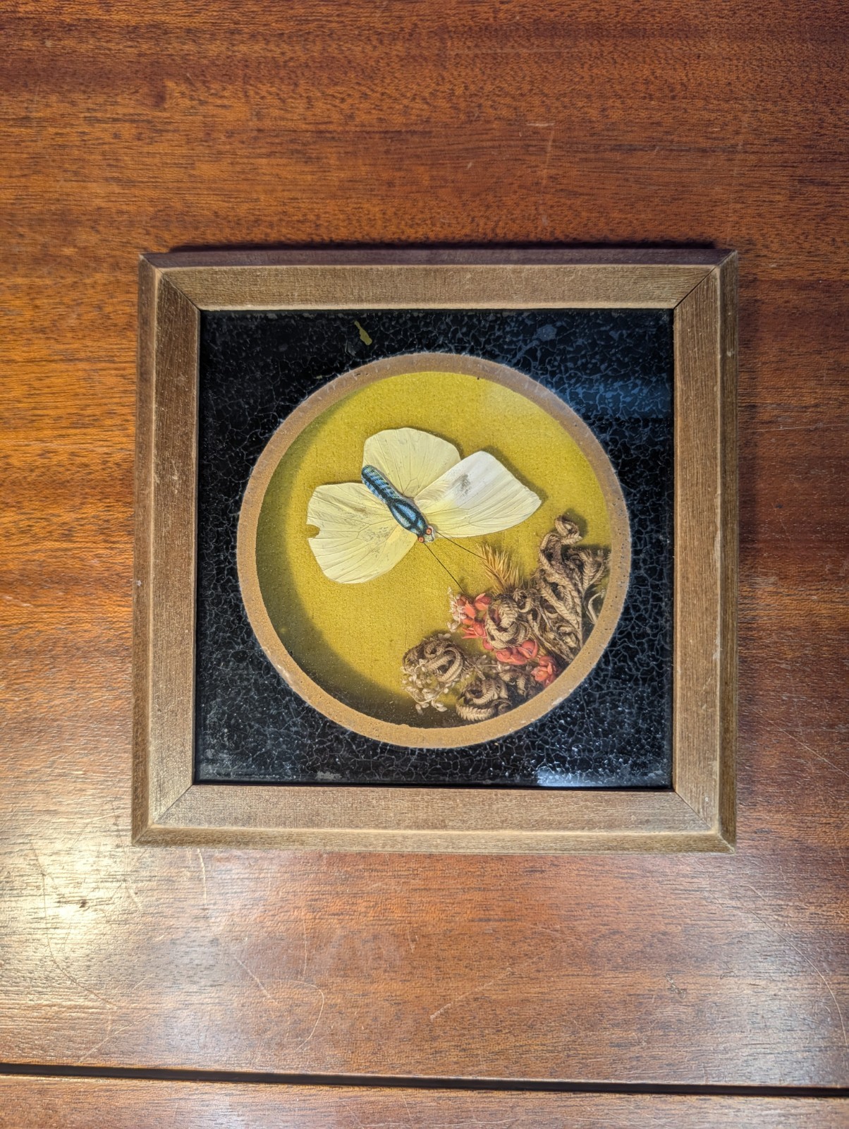 Vintage 1970s Dried Botanical Taxidermy Butterfly Wall Hang Mustard Earth Boho