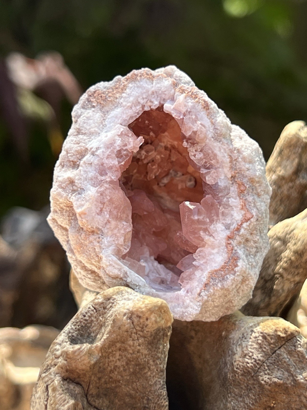 Pink Amethyst Geode Rose Rare AAA+ Argentinian Patagonian Rare Fine Grade 11