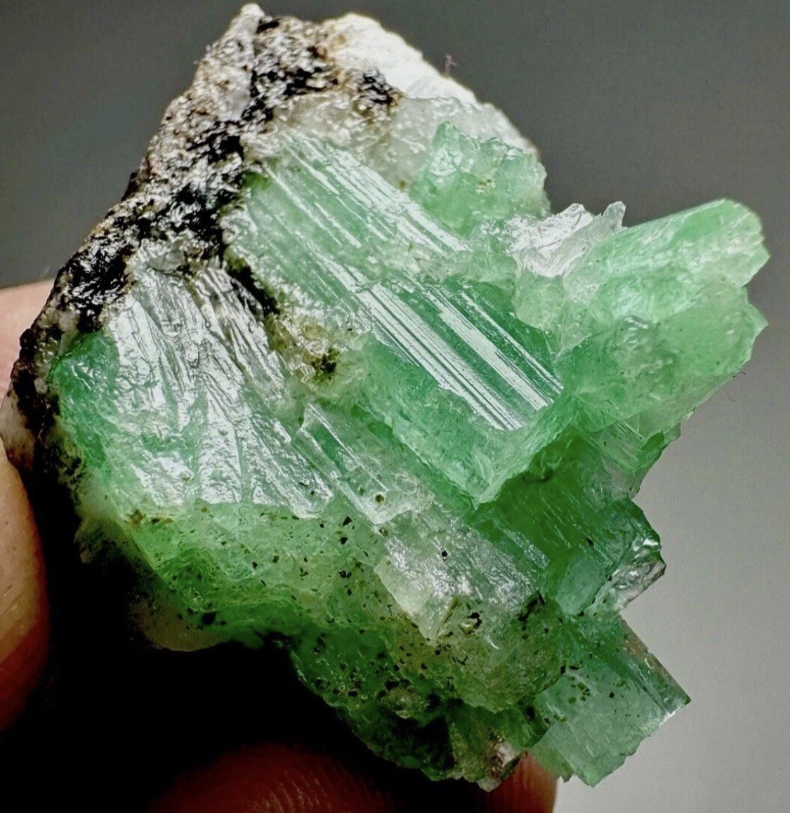 Renowned Raw Bright Green Colombian Emerald Crystal Cluster Matrix Specimen Renowned Raw Bright Green Colombian Emerald Crystal Cluster Matrix Specimen