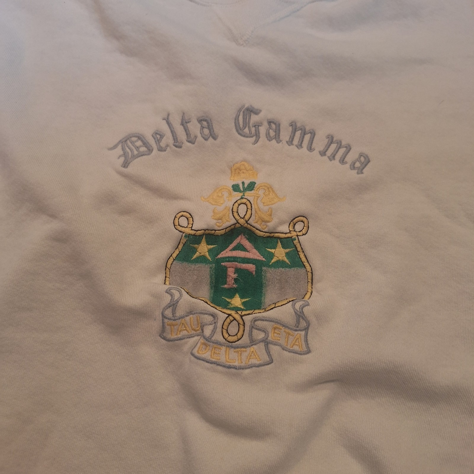 Vtg Hanes Adult L Delta Gamma College Sorority Men Womens Unisex Sweatshirt Y2K 