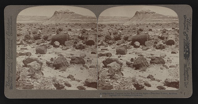 Petrified Forest Arizona 1903 Stereoview Fossilized Logs Desert Landscape