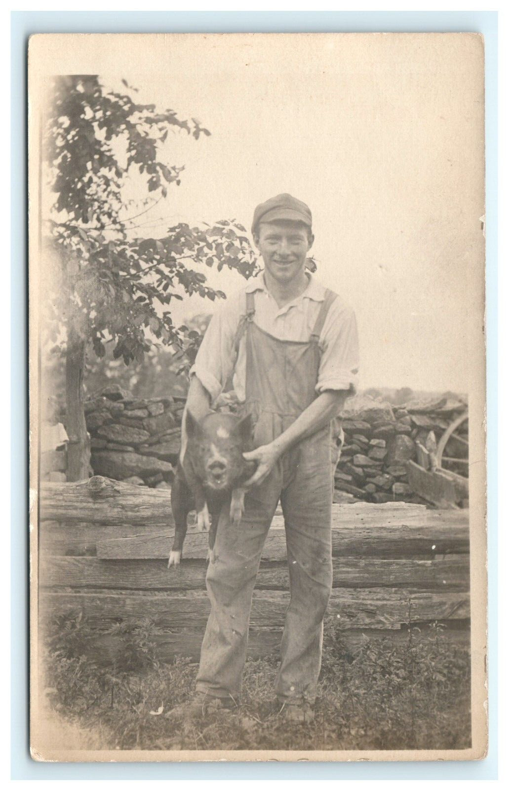 1904-1918 Early Young Man Holding Angry Pig RPPC Postcard Portrait Farm 1904-1918 Early Young Man Holding Angry Pig RPPC Postcard Portrait Farm
