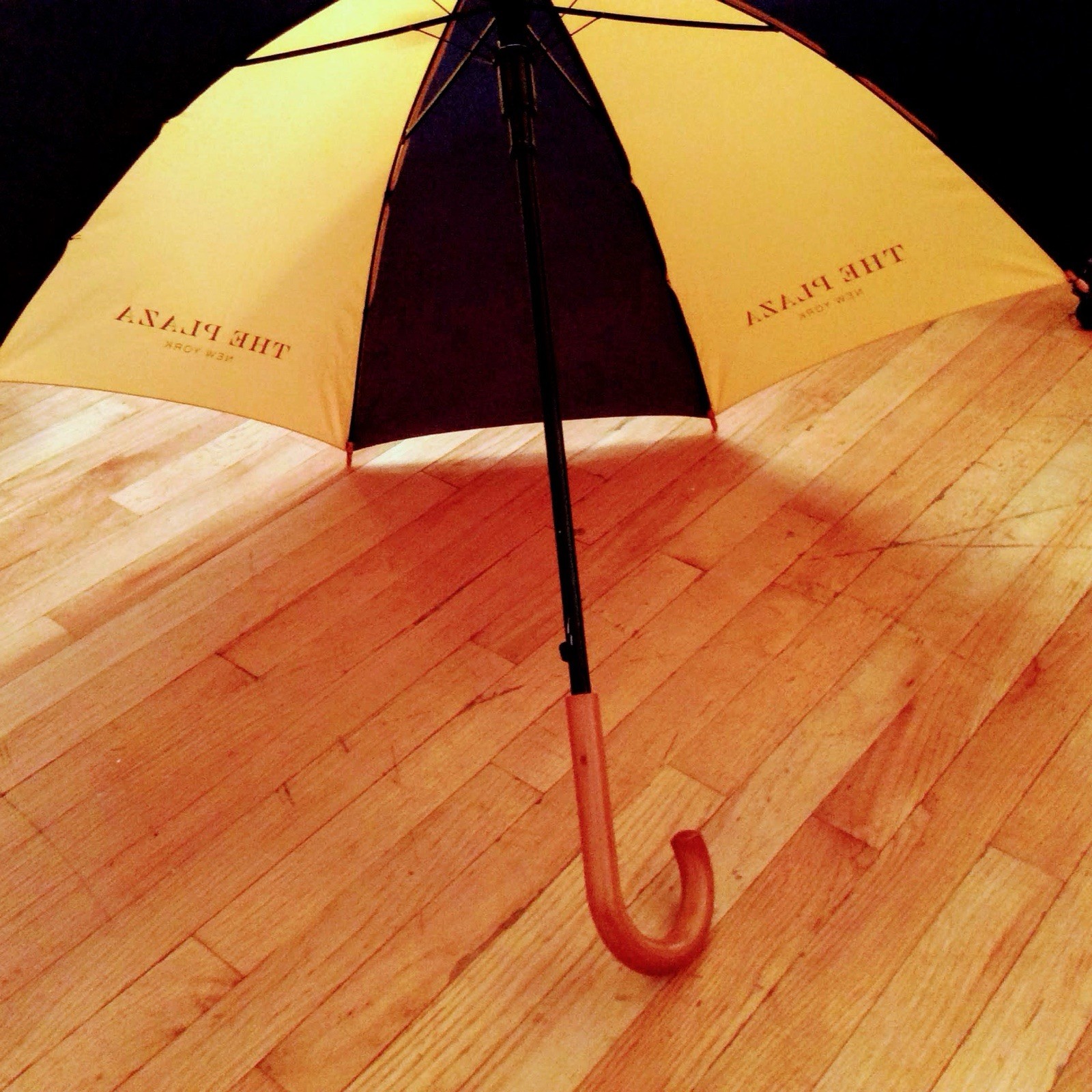 Plaza Hotel New york Yellow And Navy Stripe Umbrella - Wood Handle Plaza Hotel New york Yellow And Navy Stripe Umbrella - Wood Handle