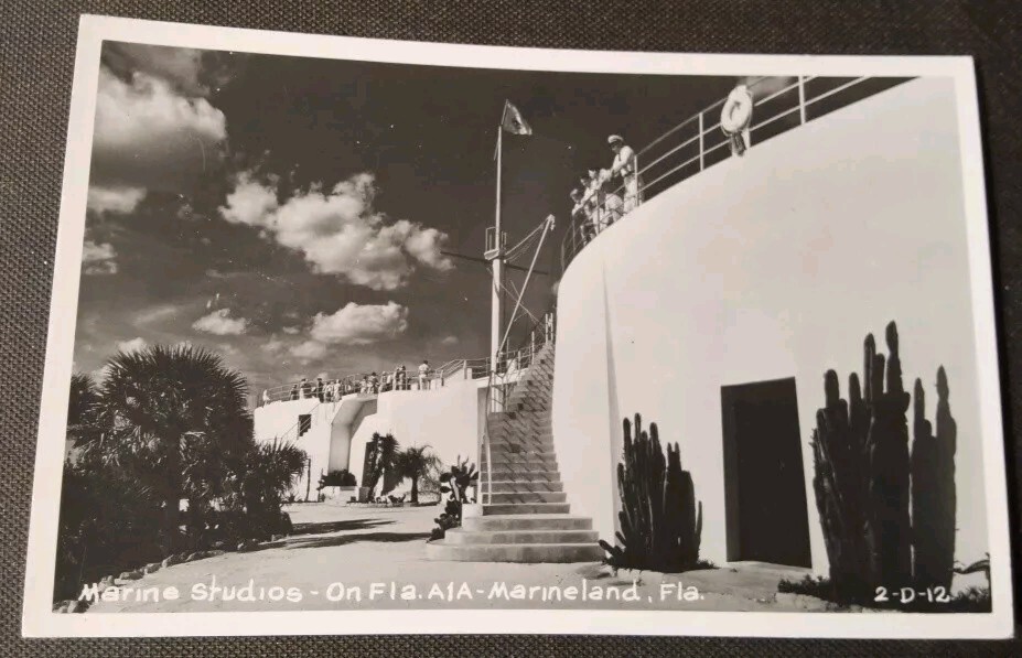 Marineland, St. Augustine FL RPPC Marine Studios Real Photo Postcard PC Marineland, St. Augustine FL RPPC Marine Studios Real Photo Postcard PC