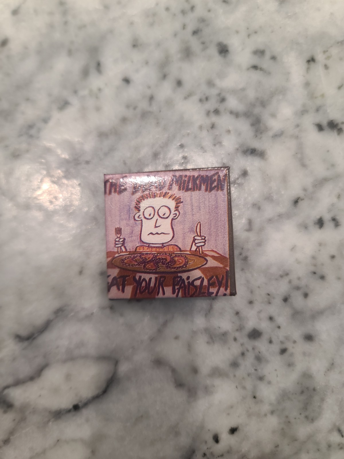 RARE Vintage 1986 THE DEAD MILKMEN badge punk pin Eat Your Paisley button 1.5\