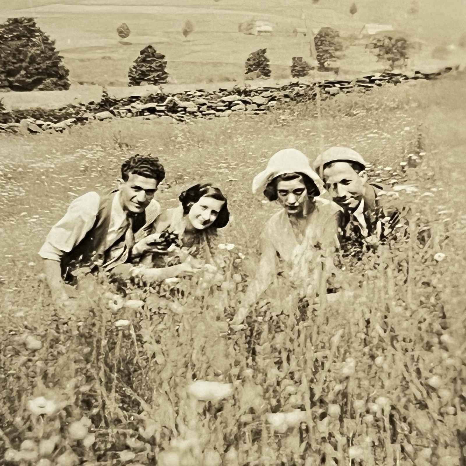 Antique Snapshot Photograph Beautiful Women Handsome Men In Field Outside