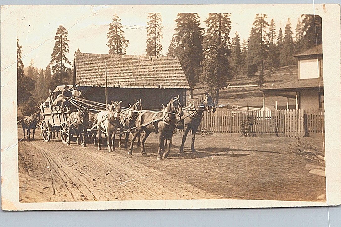 RPPC Washington? Horse-Drawn Wagons & Homestead Scene early 1900s RPPC Washington? Horse-Drawn Wagons & Homestead Scene early 1900s