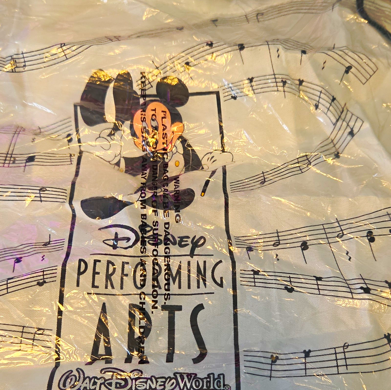 Disney Performing Arts Minnie Mouse Small Drawstring Bag White Black 2024