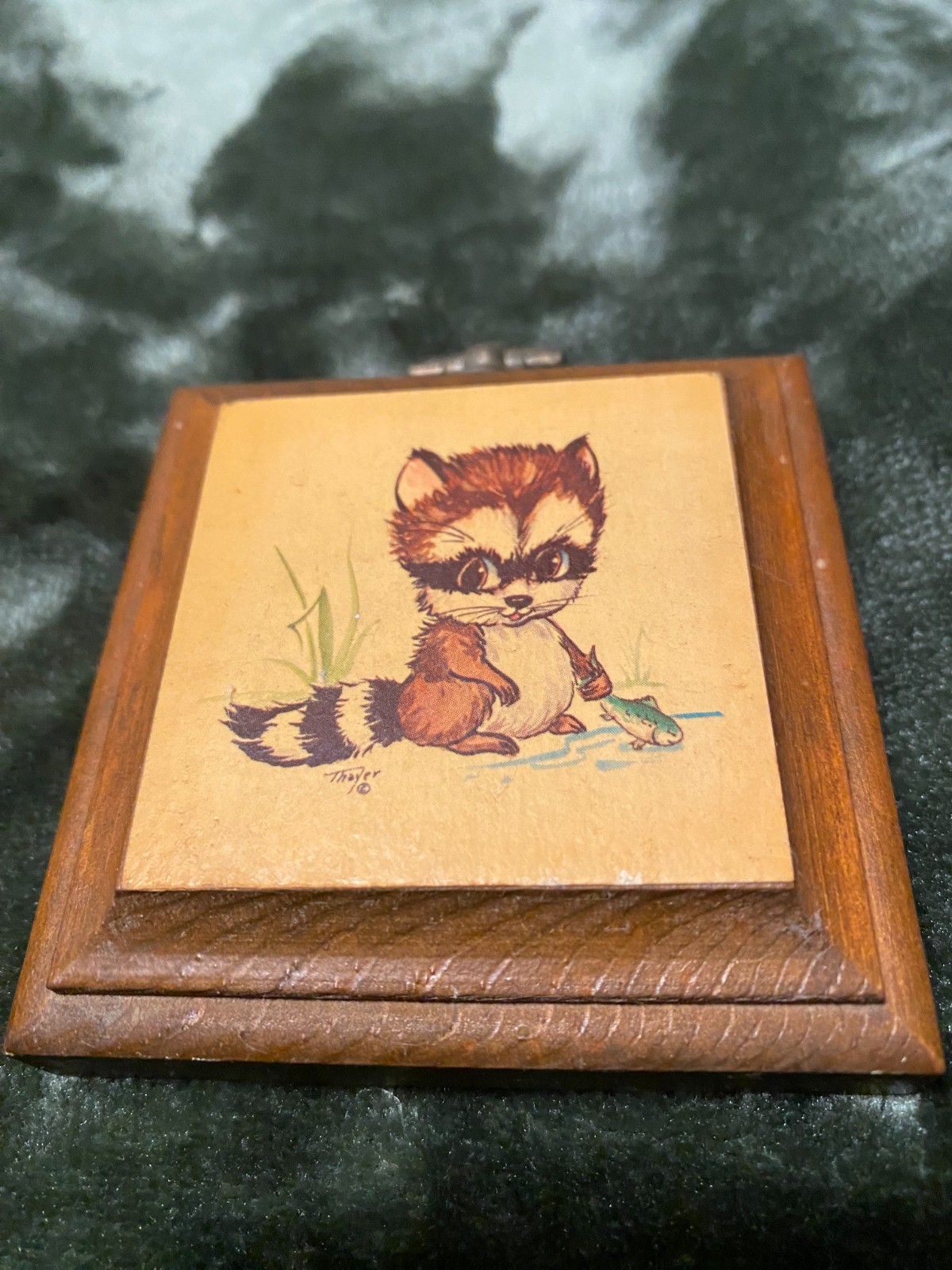 Vintage Lois Mae Thayer Raccoon & Frog Wooden Wall Plaque Big Eye Animal Art Vintage Lois Mae Thayer Raccoon & Frog Wooden Wall Plaque Big Eye Animal Art