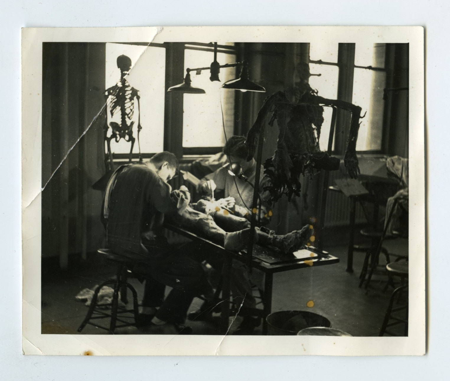 Vintage 1910s-20s Post-Mortem Autopsy Medical Photograph Skeleton 4x5