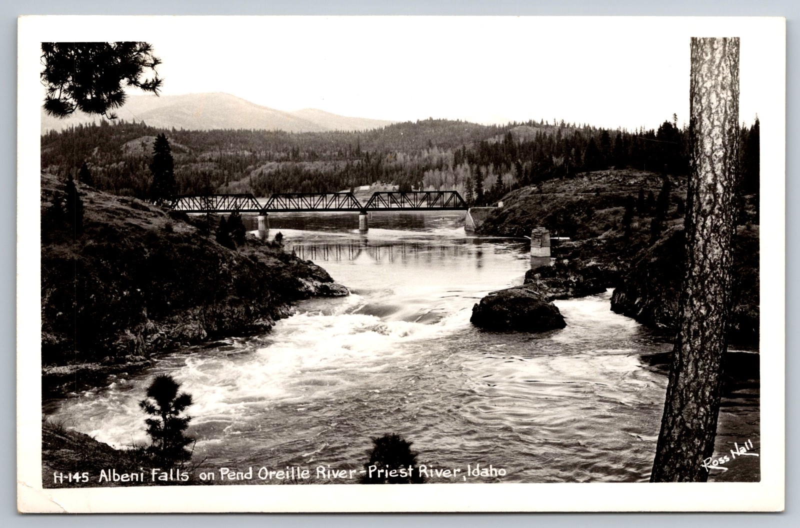 Postcard RPPC Priest River Idaho Albeni Falls Pend Oreille River Bridge Postcard RPPC Priest River Idaho Albeni Falls Pend Oreille River Bridge