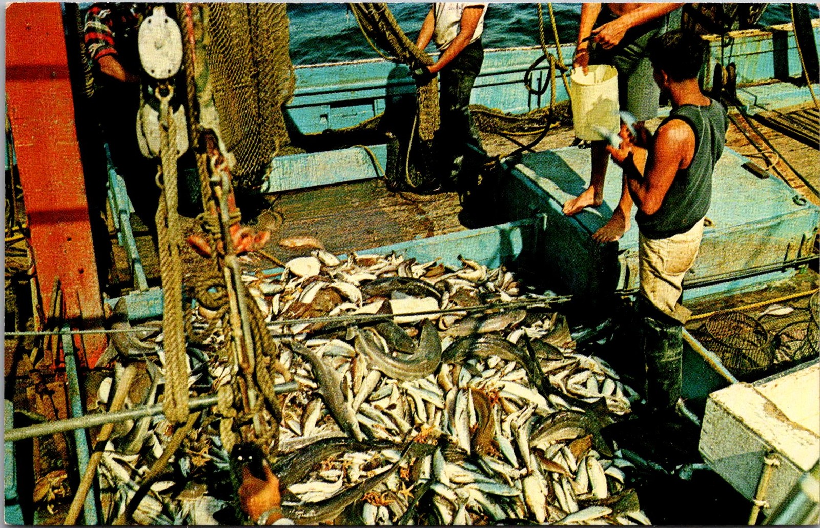 Provincetown Cape Cod Fishing Boat Catch Vintage Postcard 4P25-27 Provincetown Cape Cod Fishing Boat Catch Vintage Postcard 4P25-27