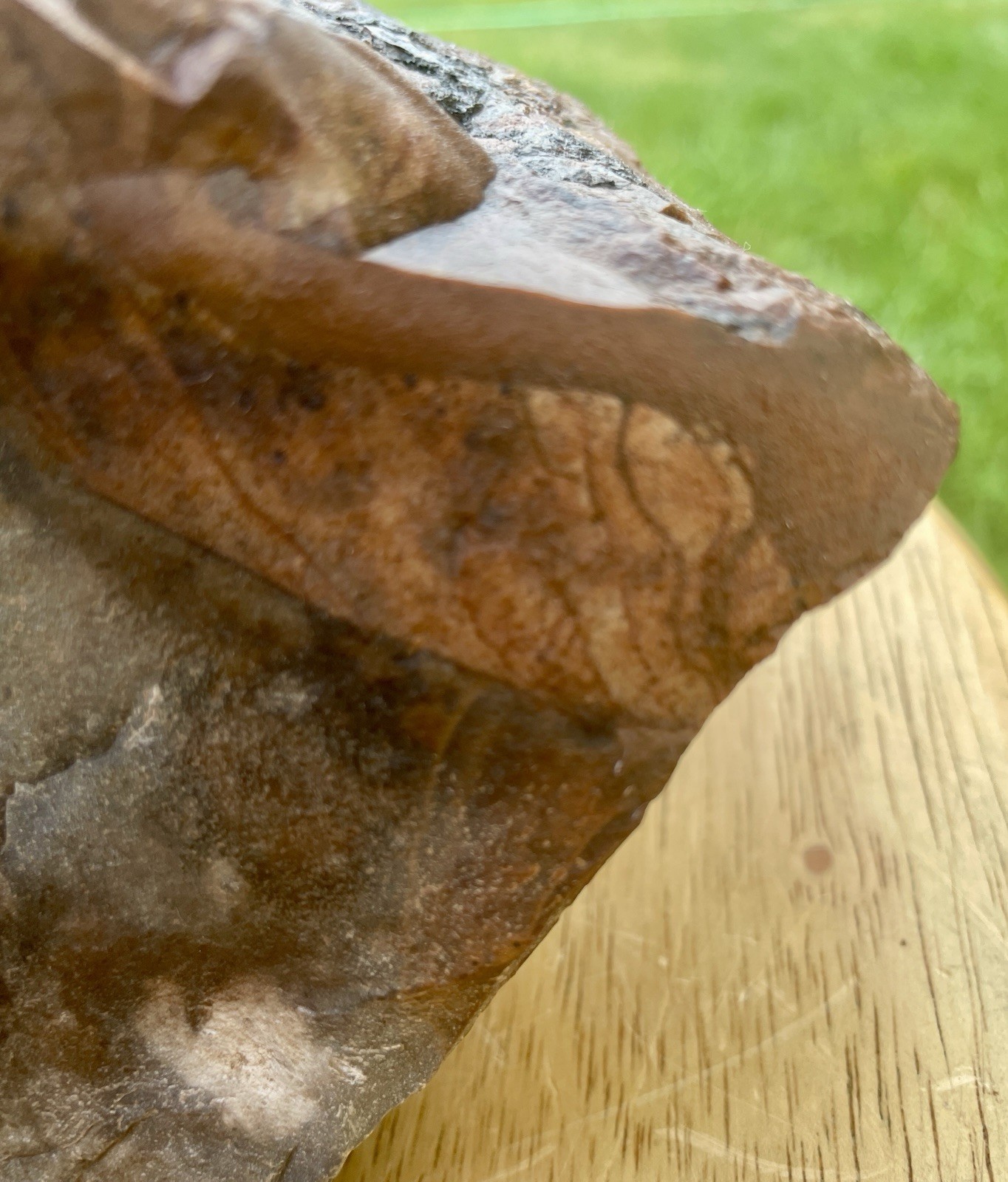 11.75 lb Blue Biggs Picture Jasper Lapidary Rough from Biggs, Oregon 11.75 lb Blue Biggs Picture Jasper Lapidary Rough from Biggs, Oregon
