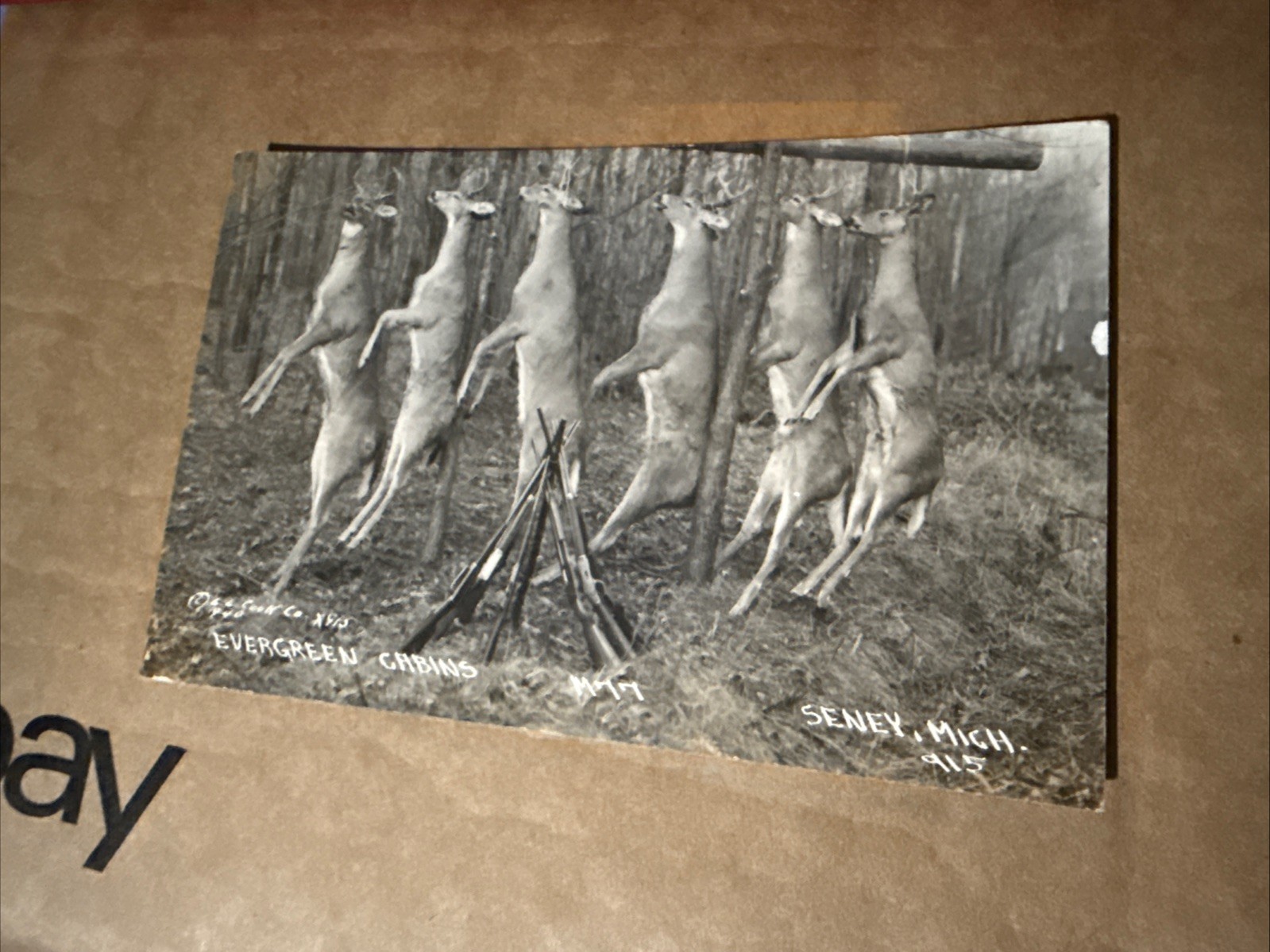RPPC Cabins Seney, Michigan Deer & Rifles Postcard 