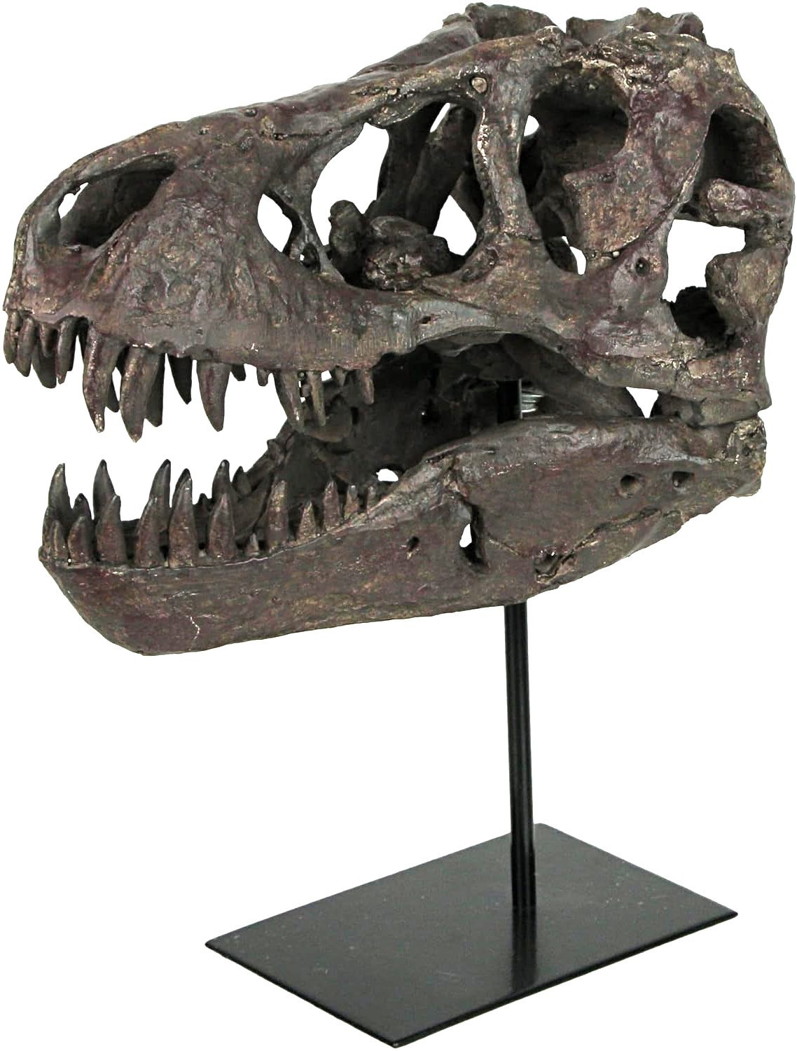 TYRANNOSAURUS SKULL REPLICA DINOSAUR BONE BIG SCULPTURE HEAD TREX LARGE NICE NEW