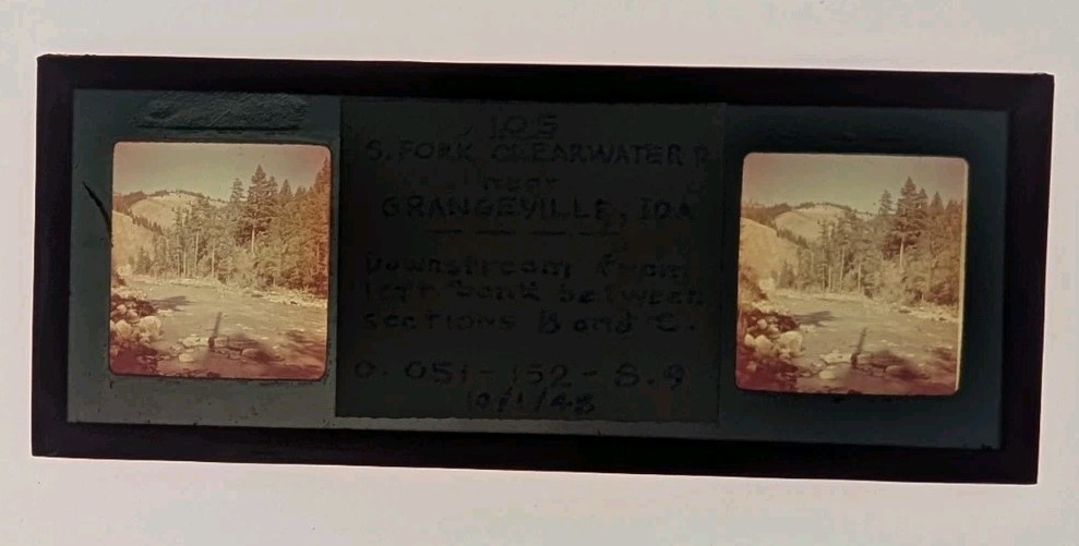 40\'s STEREOSCOPIC GLASS SLIDE SOUTH FORK CLEARWATER NEAR GRANGEVILLE IDAHO SGS1