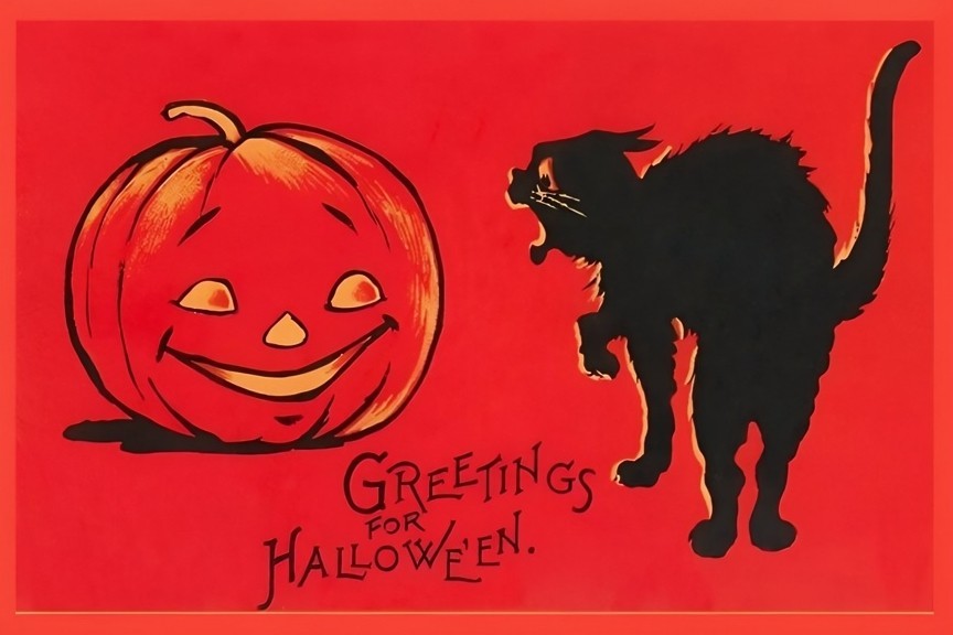 Awesome Black CAT & Pumpkin - Vintage Look HALLOWEEN Postcard Reprint