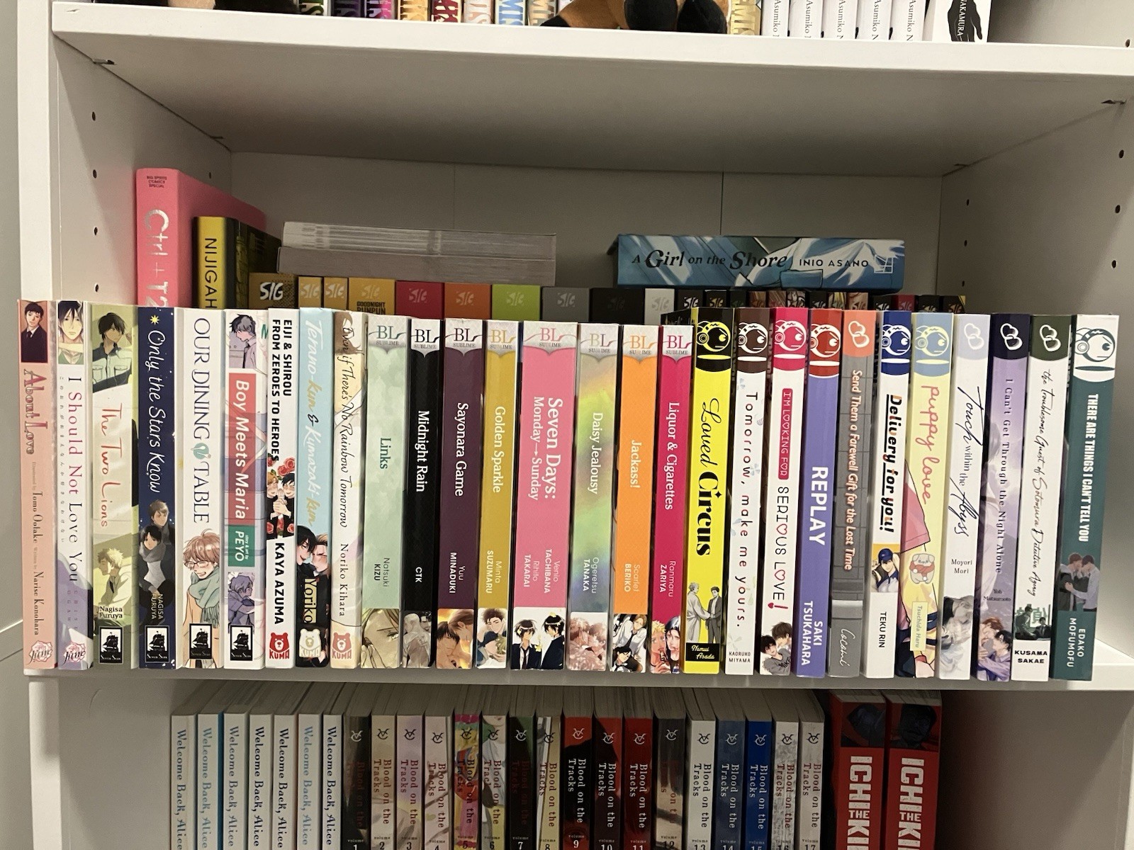 BL Manga Lot. Seven Seas. Kuma, SuBLime, TokyoPop, June. 28 VOLUME LOT ONE SHOTS