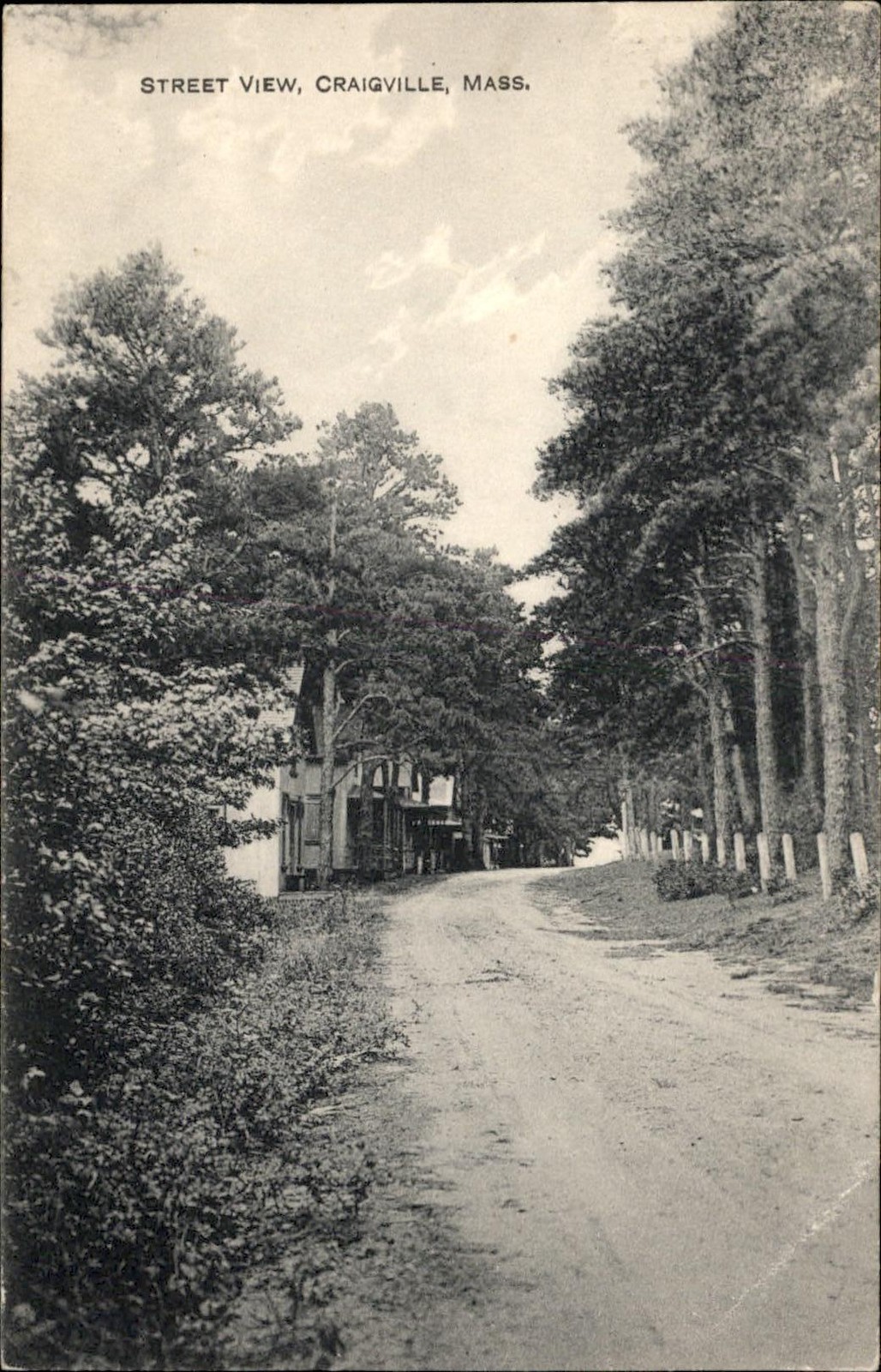 Craigville MA Street View S. H. Hallett c1900s-10s Vintage Postcard Craigville MA Street View S. H. Hallett c1900s-10s Vintage Postcard
