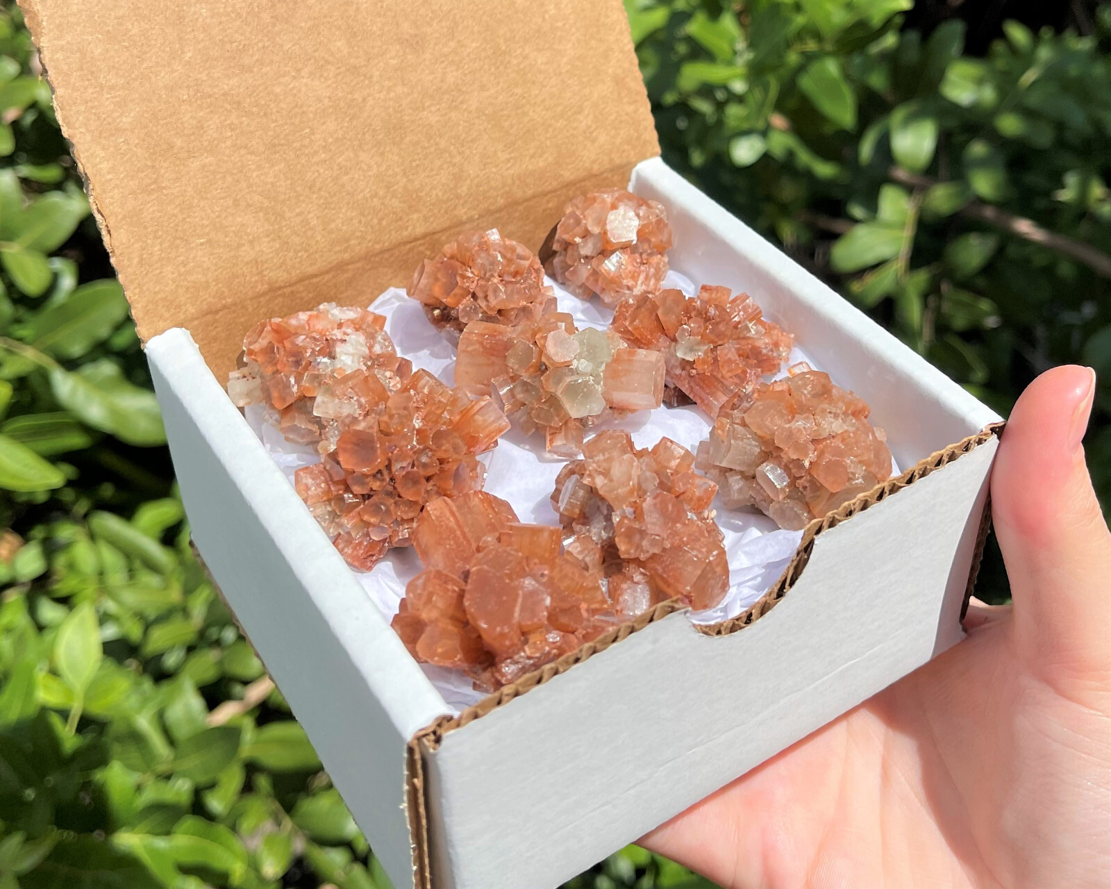 Small Aragonite Clusters Box: 6 - 8 Pieces (Natural Aragonite Star Cluster)