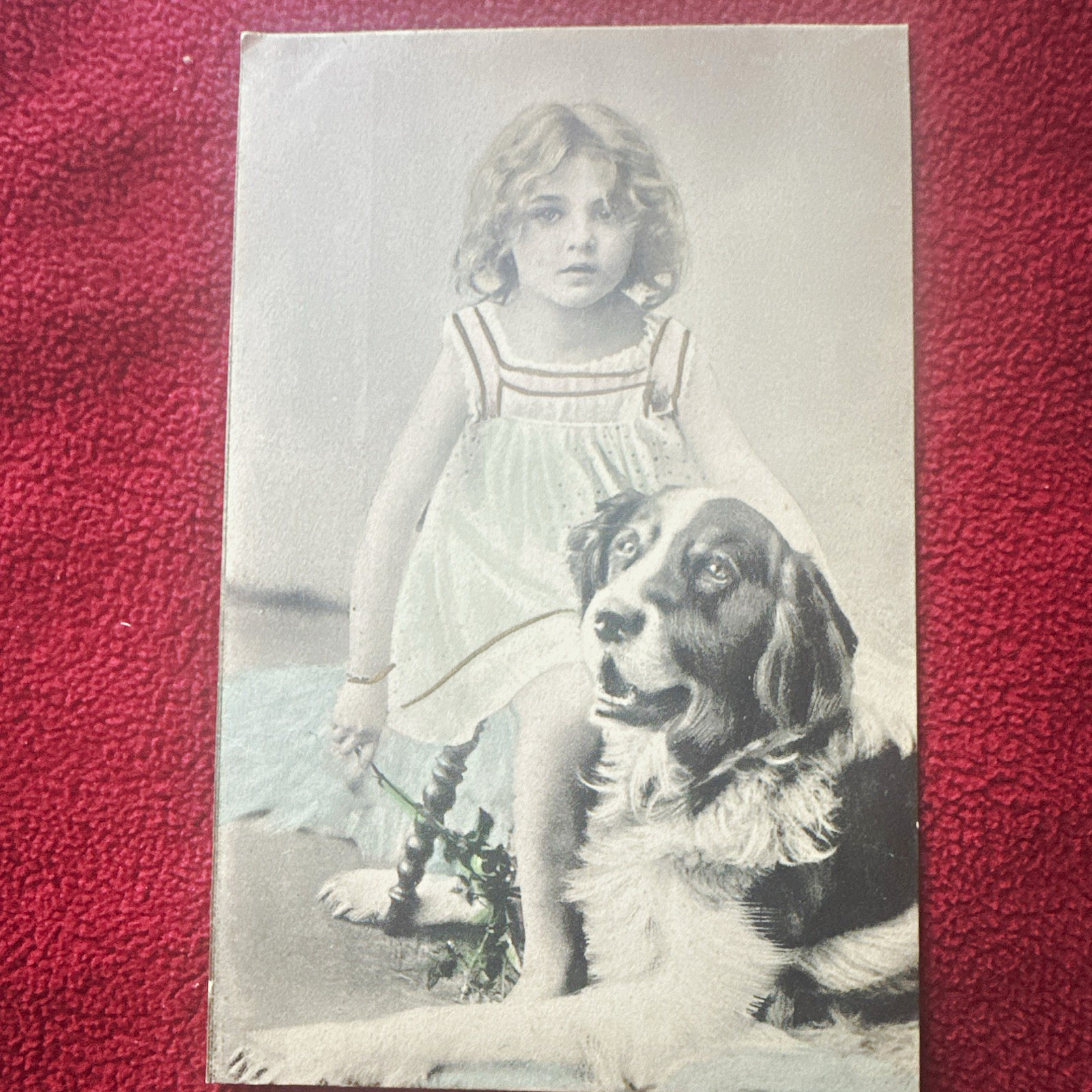 Vtg Unposted Original Girl w/ Dog Postcard, Divided Back (1907-1915) colorized