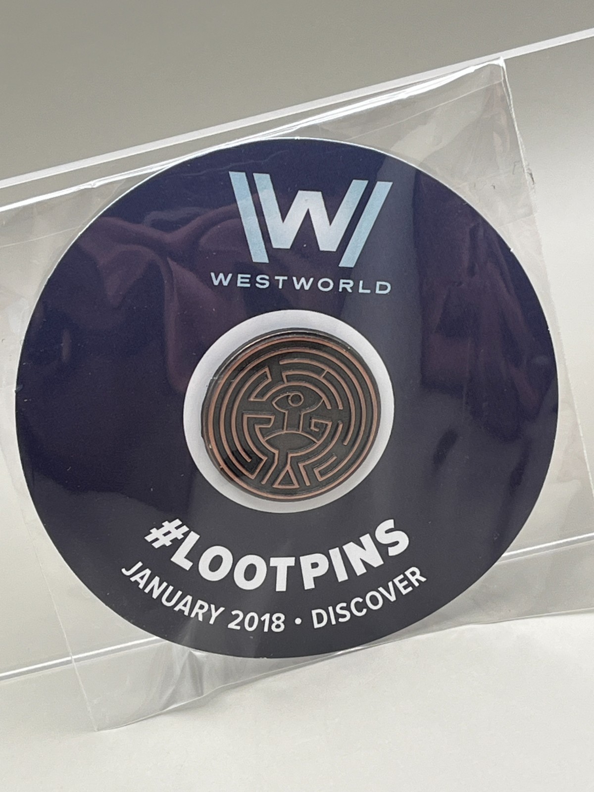 Westworld Maze Loot Pins Enamel Pin January 2018 Discover Loot Crate Exclusive