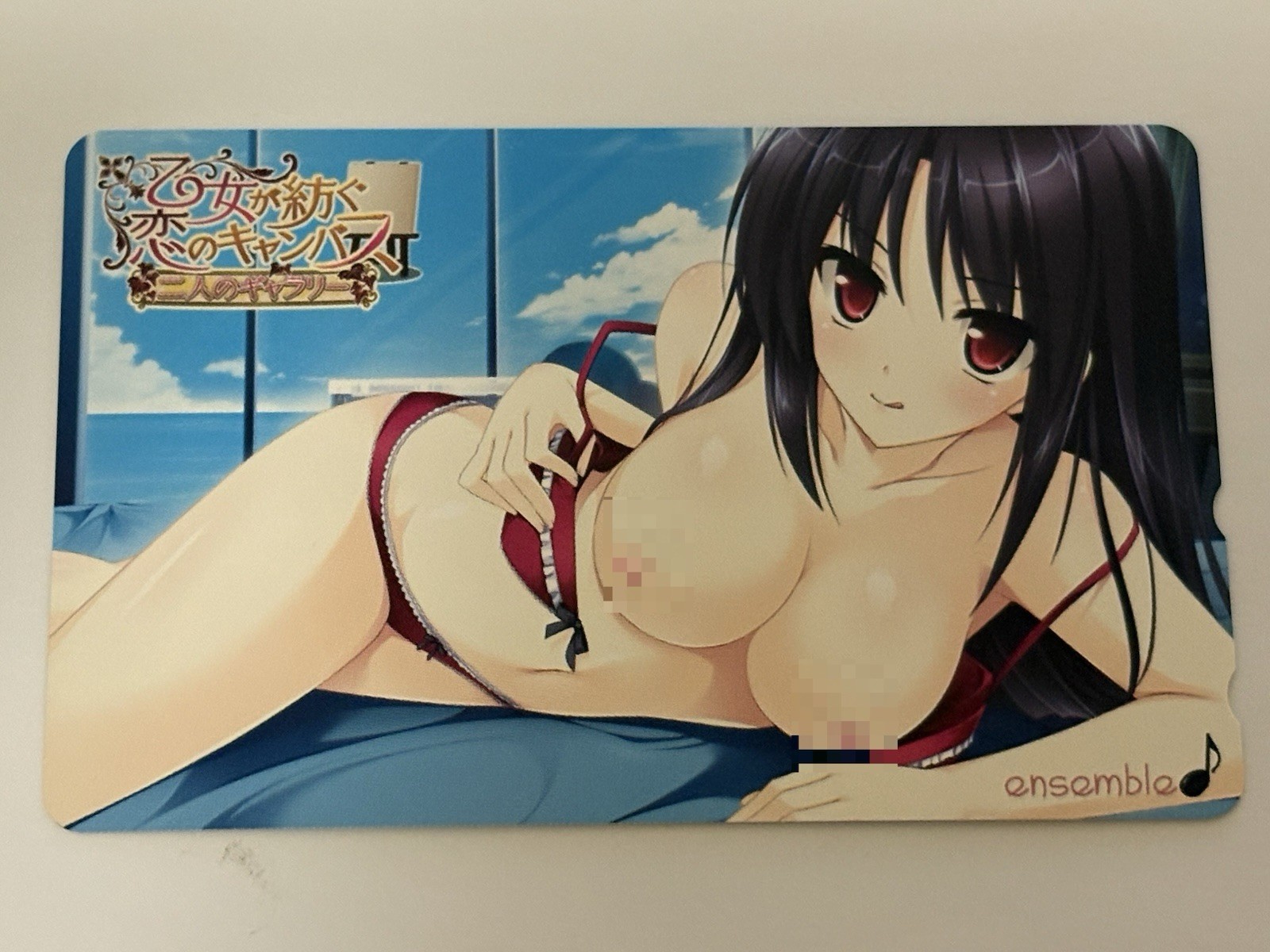 Unused 2012 Japanese Game Teleca Otome Koi no Canvas Shizuki Karasuma Bonus
