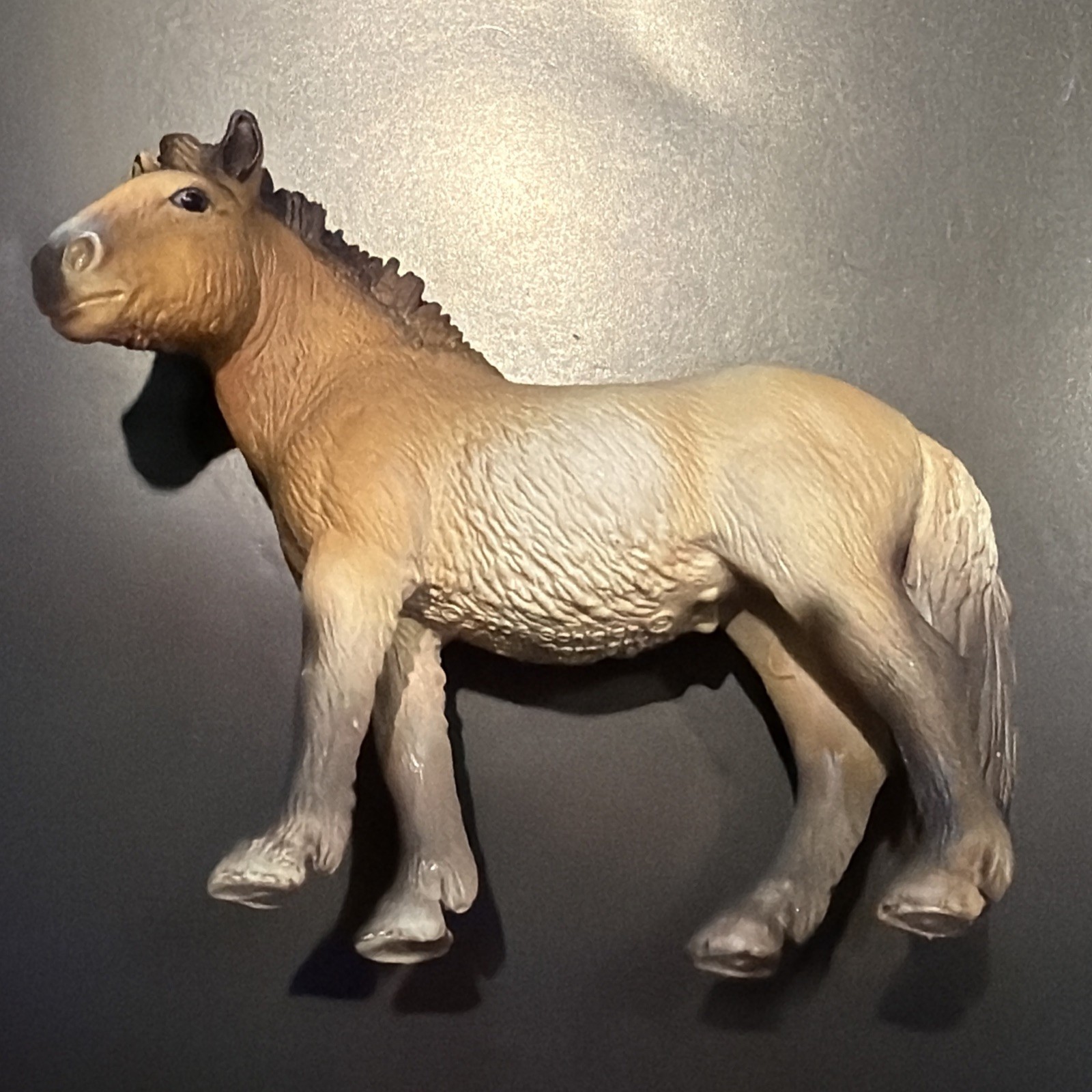 Schleich 13620 Przewalski Mare | Rare & Retired| 2006 Horse