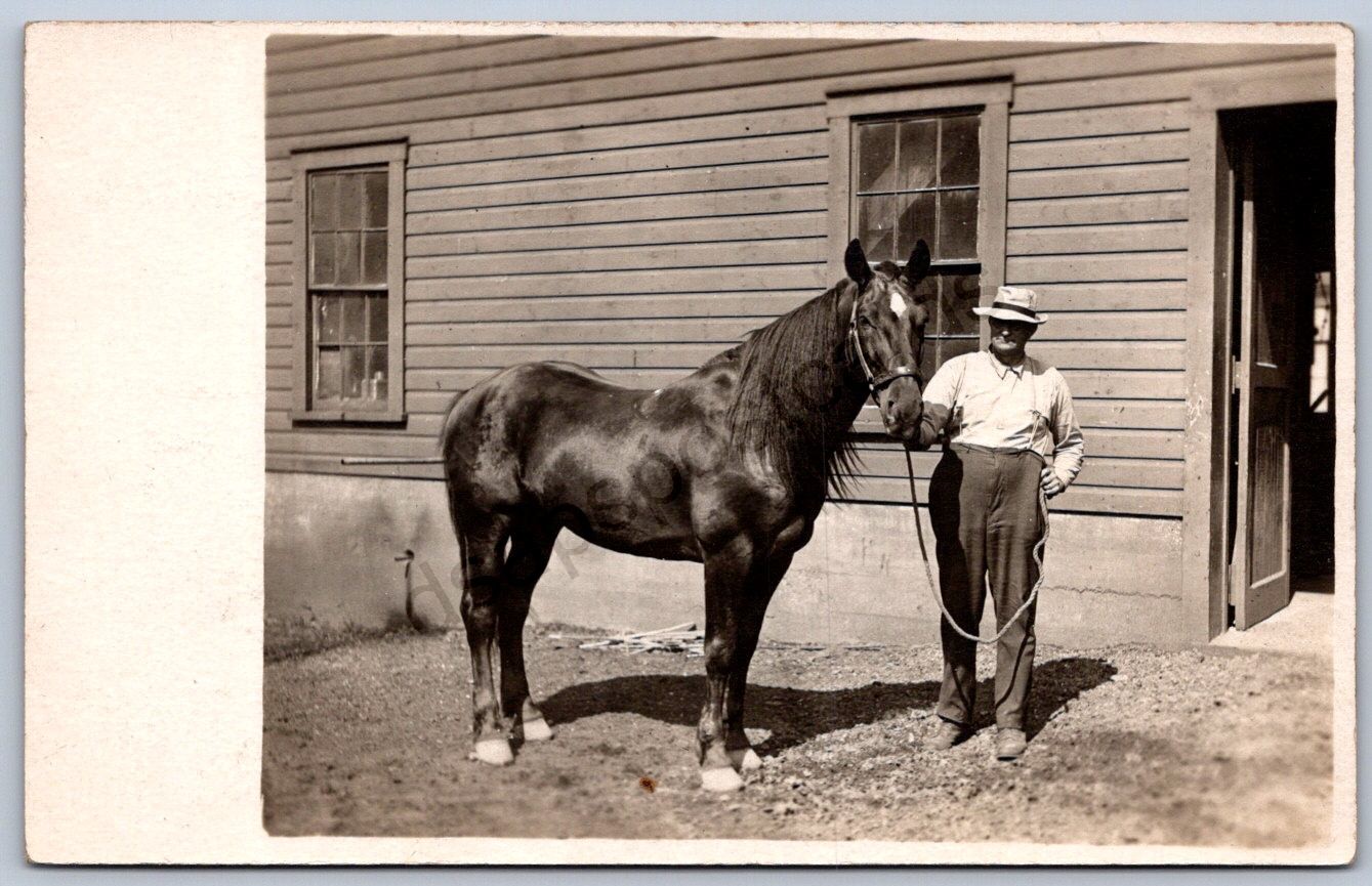K44/ Celeron New York RPPC Postcard c1910 Horse Breeder? Farm Barn 75 K44/ Celeron New York RPPC Postcard c1910 Horse Breeder? Farm Barn 75