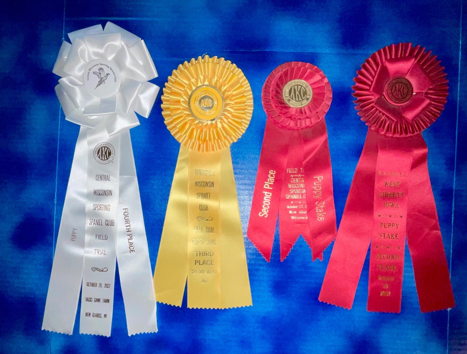4 AKC Dog Ribbons Rosettes IA WI Puppy Stake Estate Sale 2017 2022
