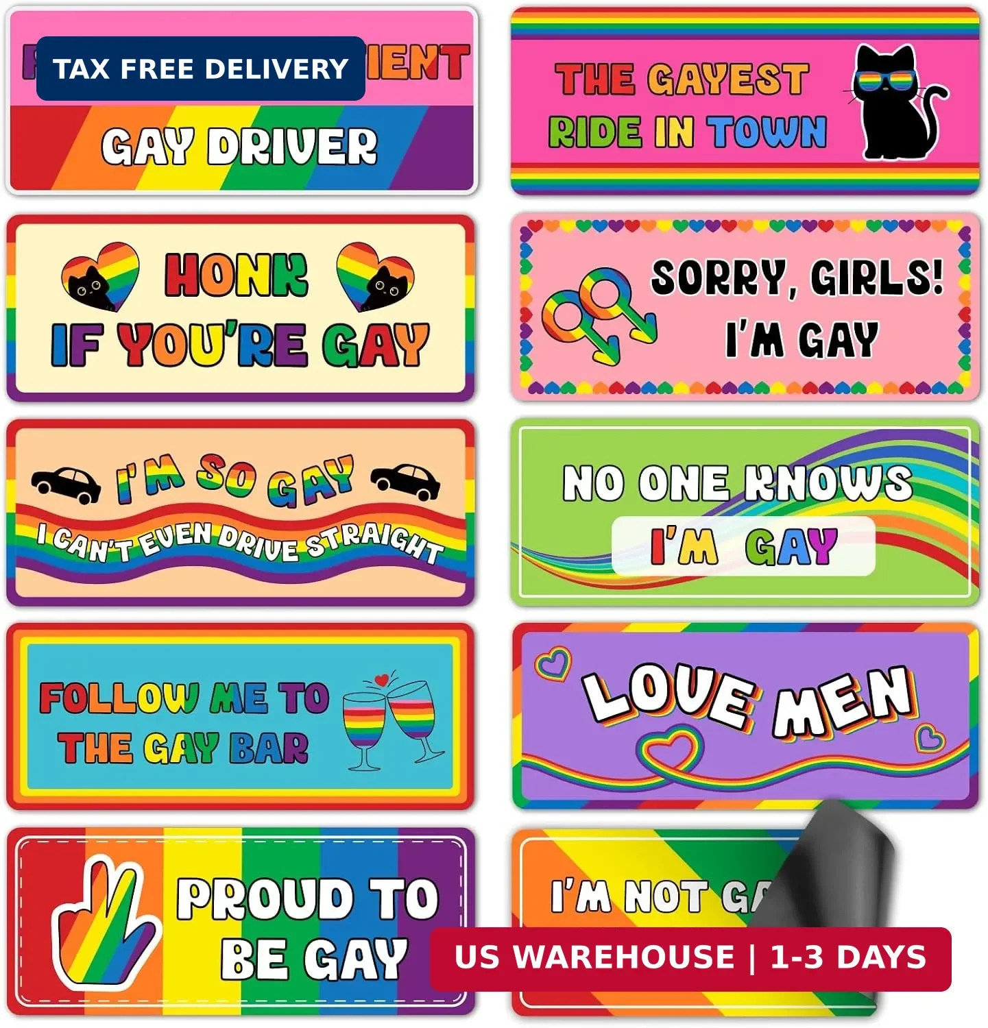 10Pcs Gay Pride Funny Car Magnets, Rainbow Designs I'M Gay, Gay Driver Magnetic