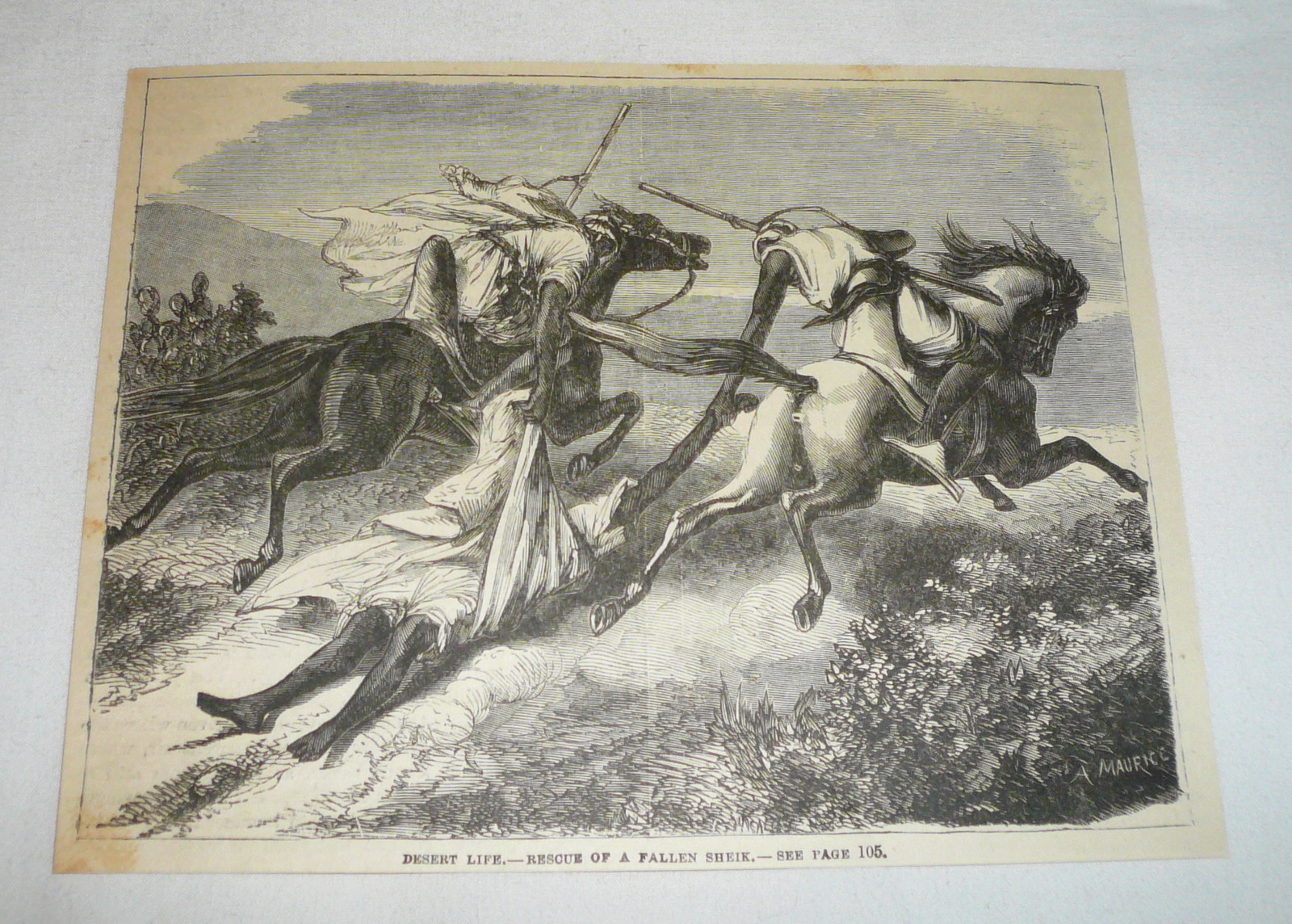 1879 magazine engraving ~ DESERT LIFE, RESCUE OF A FALLEN SHEIK