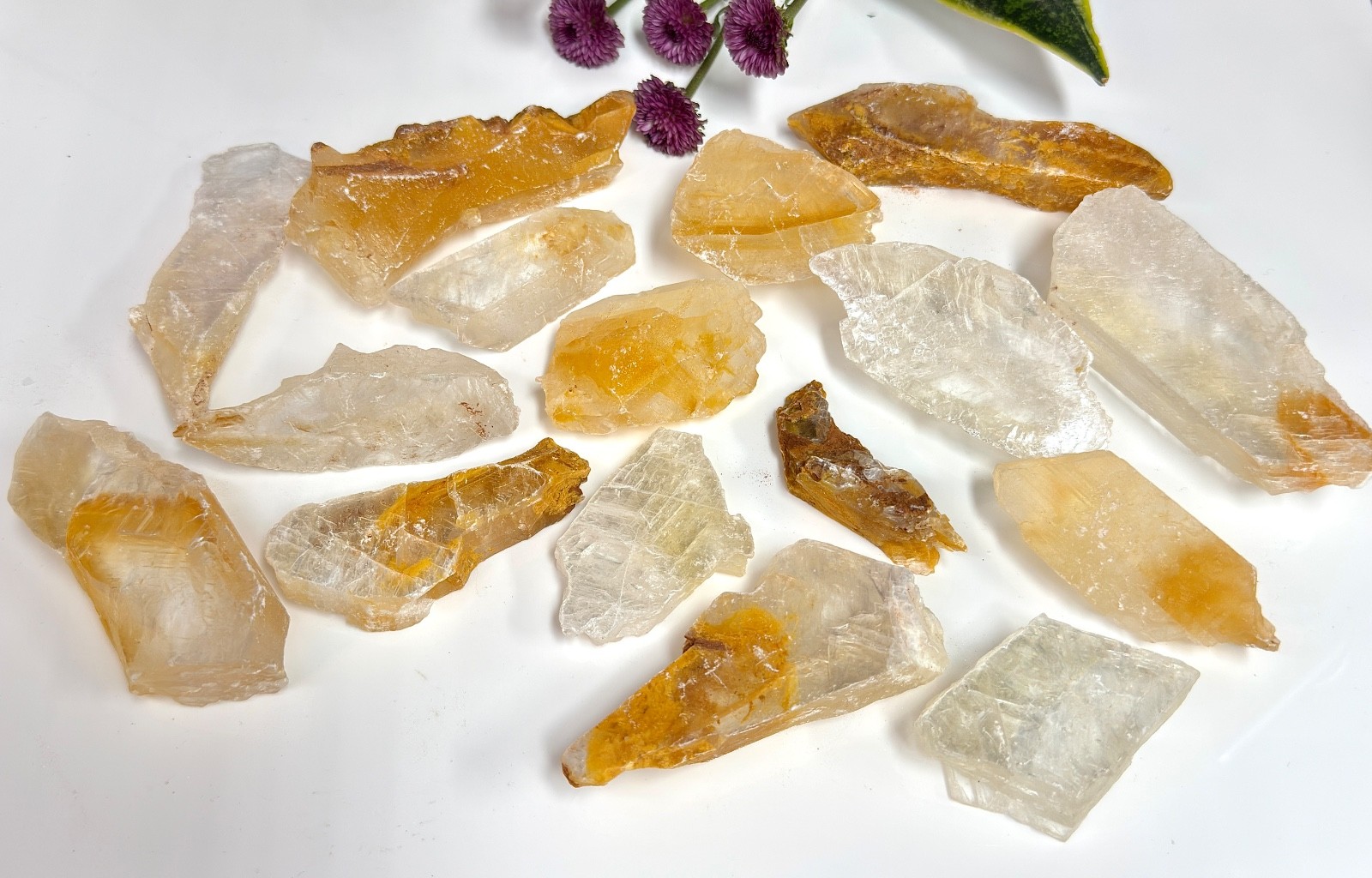 Wholesale Lot 2 Lbs Natural Golden Phantom Selenite Crystal Healing Energy