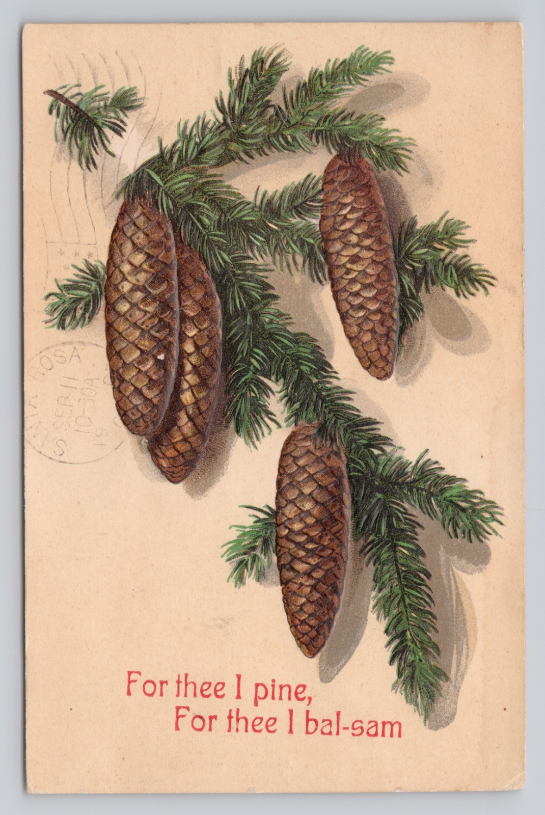 Balsam Fir Tree Pinecones For Thee I Pine, For Thee I Bal-sam c1907 Postcard Balsam Fir Tree Pinecones For Thee I Pine, For Thee I Bal-sam c1907 Postcard