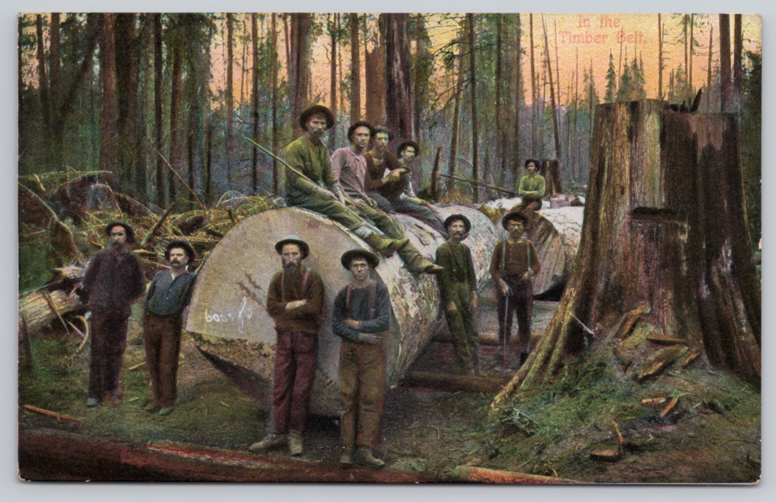 In the Timber Belt 6000 FT Giant Log Logging Germany Antique Postcard In the Timber Belt 6000 FT Giant Log Logging Germany Antique Postcard