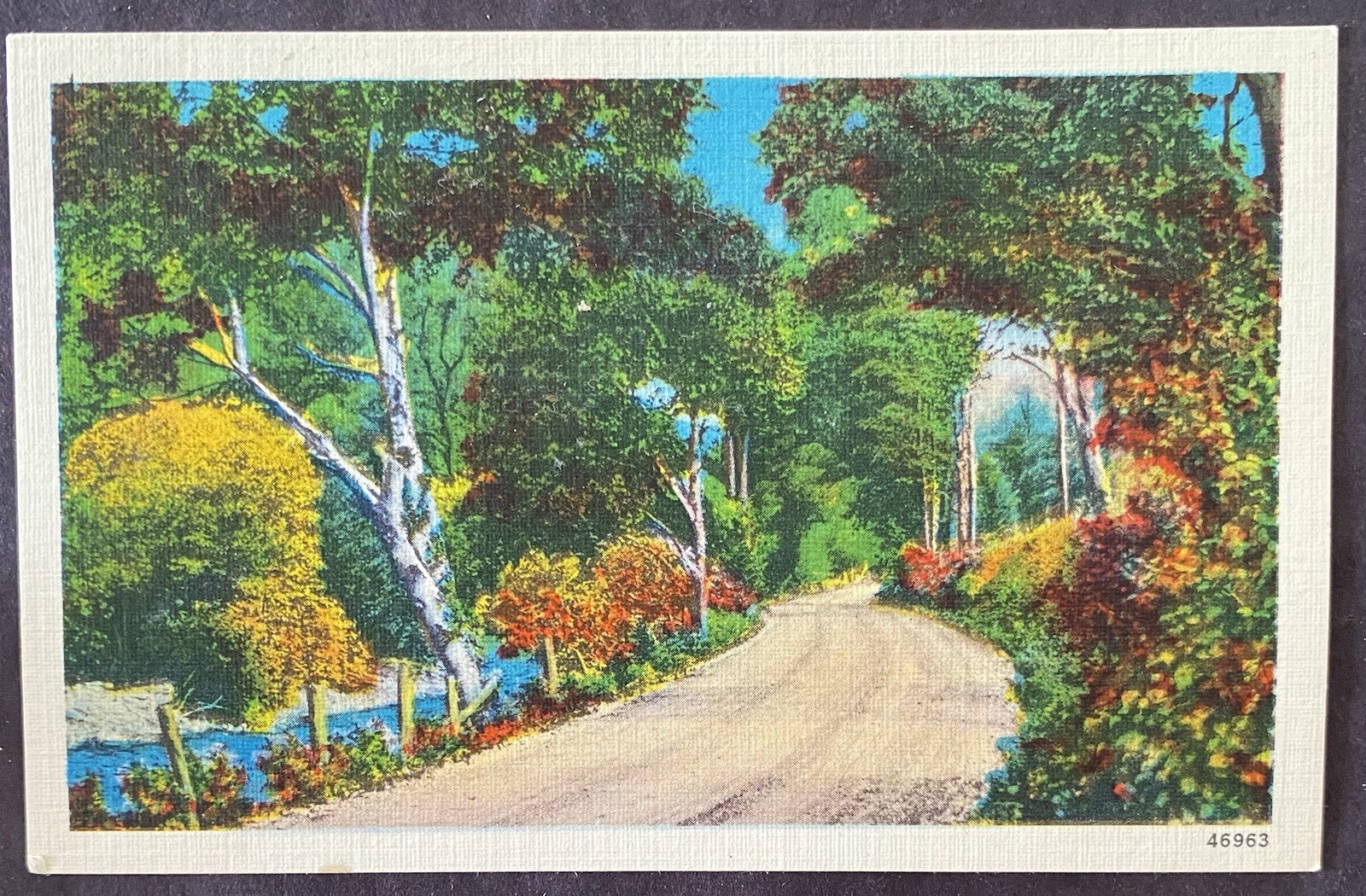 LANDSCAPE, Unknown Location WB Unposted.           C242
