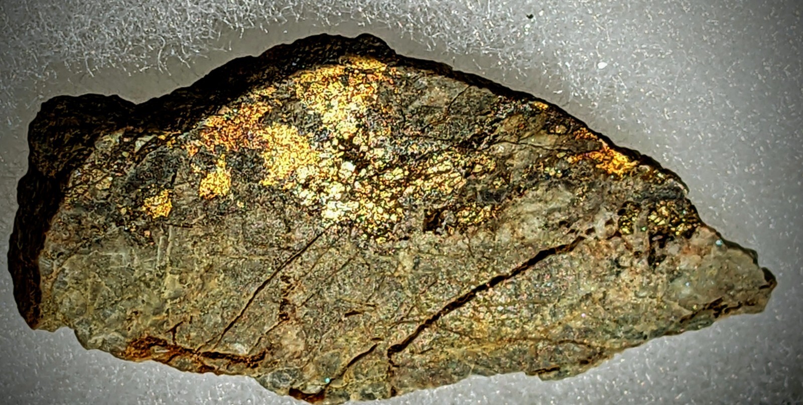 Authentic Boulder County Colorado Gold, Platinum, Copper, and Silver Ore Authentic Boulder County Colorado Gold, Platinum, Copper, and Silver Ore