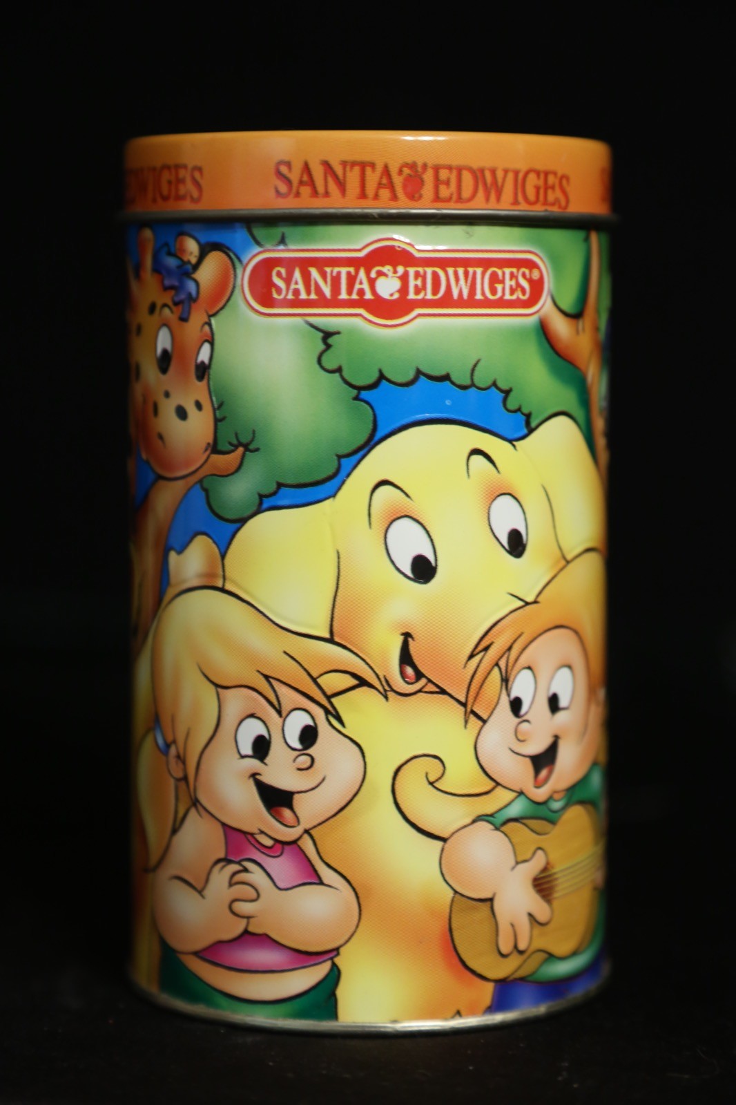 Santa Edwiges Cartoon Tin Money Bank