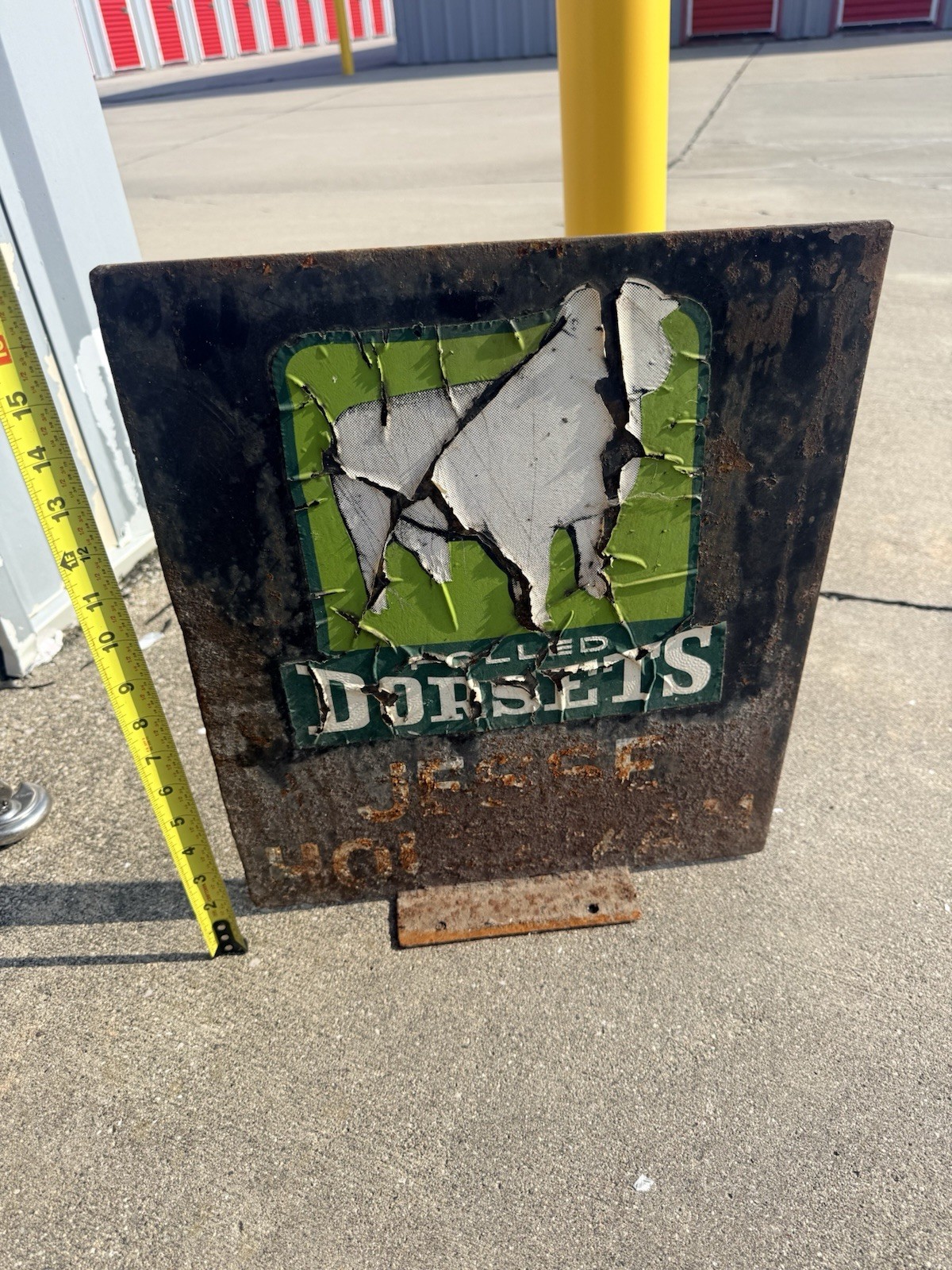 Vintage Jesse Holtzman Polled Dorsets Sheep Farm Sign Westgate Iowa Metal