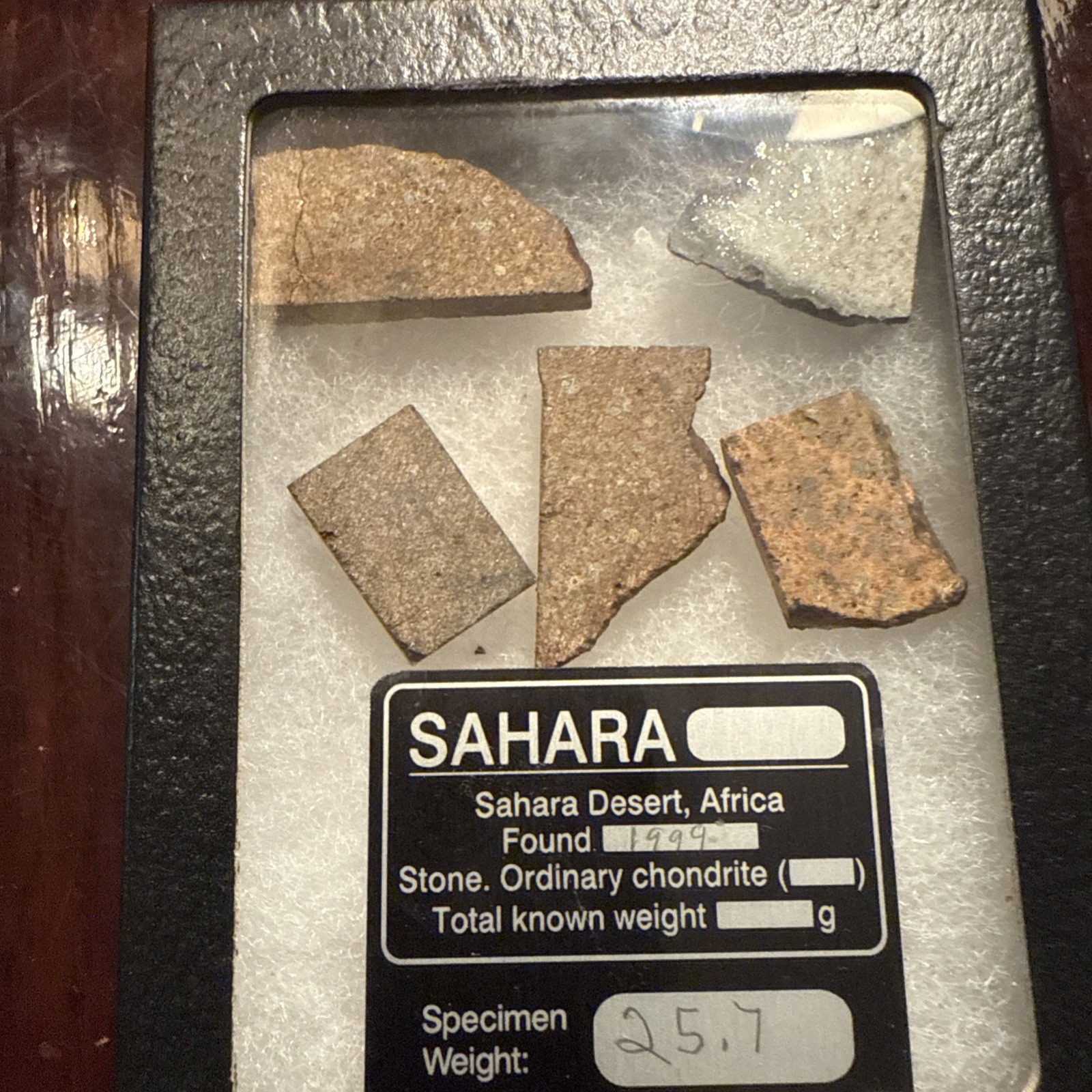 25.7 g Chondrite Meteorite Slices, Africa (5 Slices great for resale)